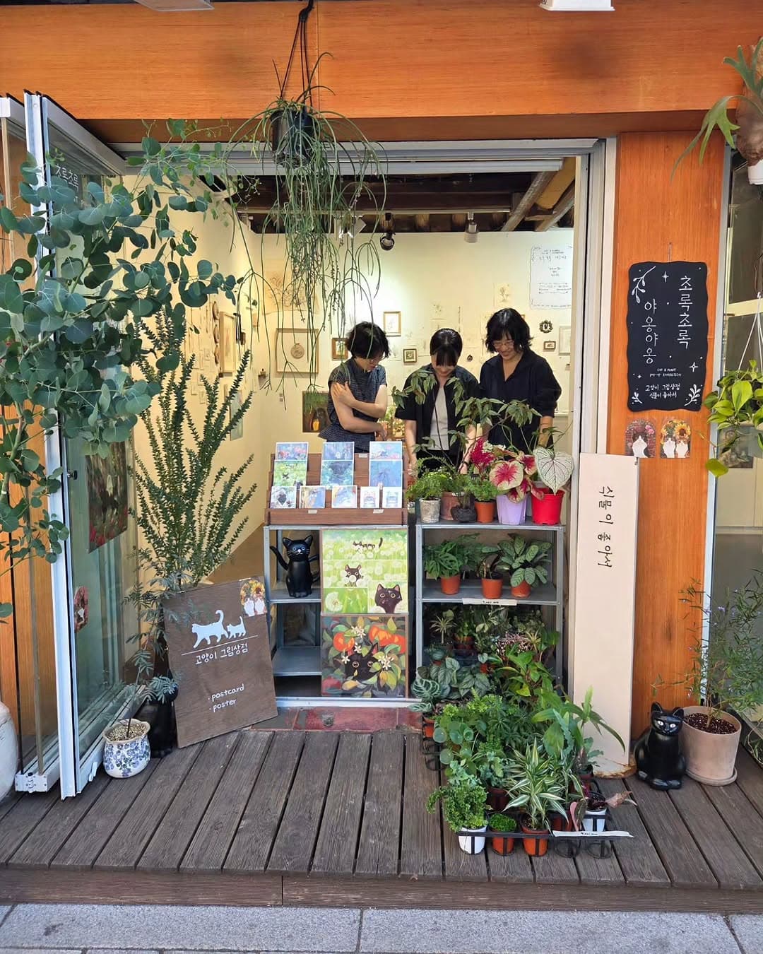 Cats and Plants: Bukchon's Gye-dong-gil Exhibition
