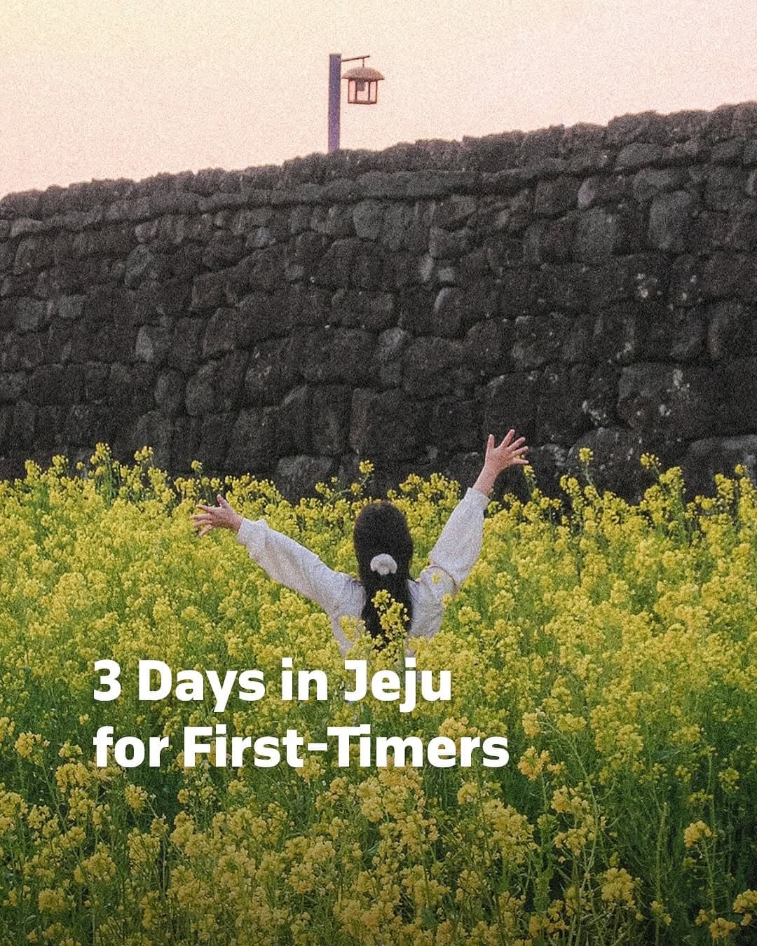 Jeju Island Itinerary: Nature, Food, and Cafes
