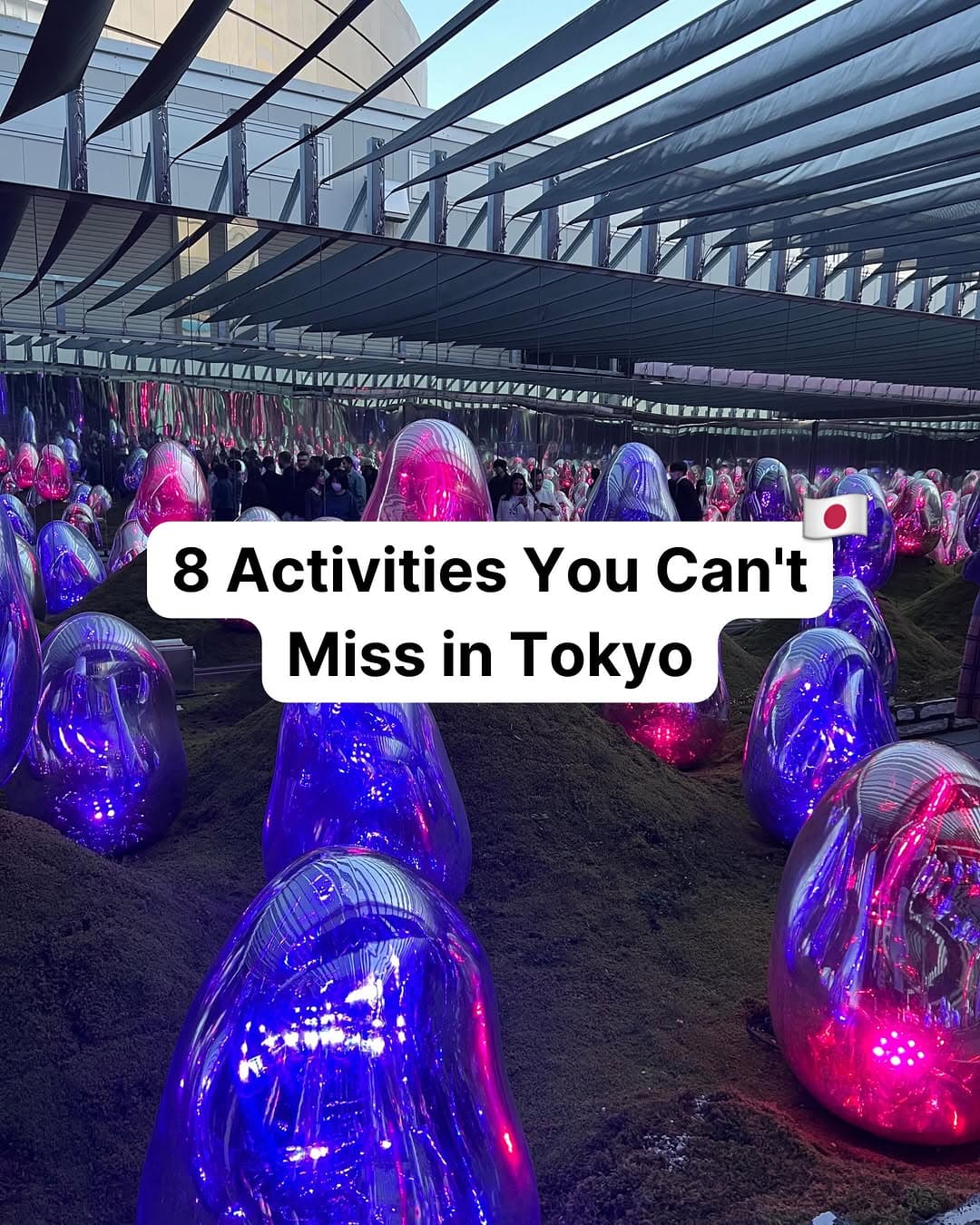 Tokyo's Top Tourist Attractions and Unique Experiences