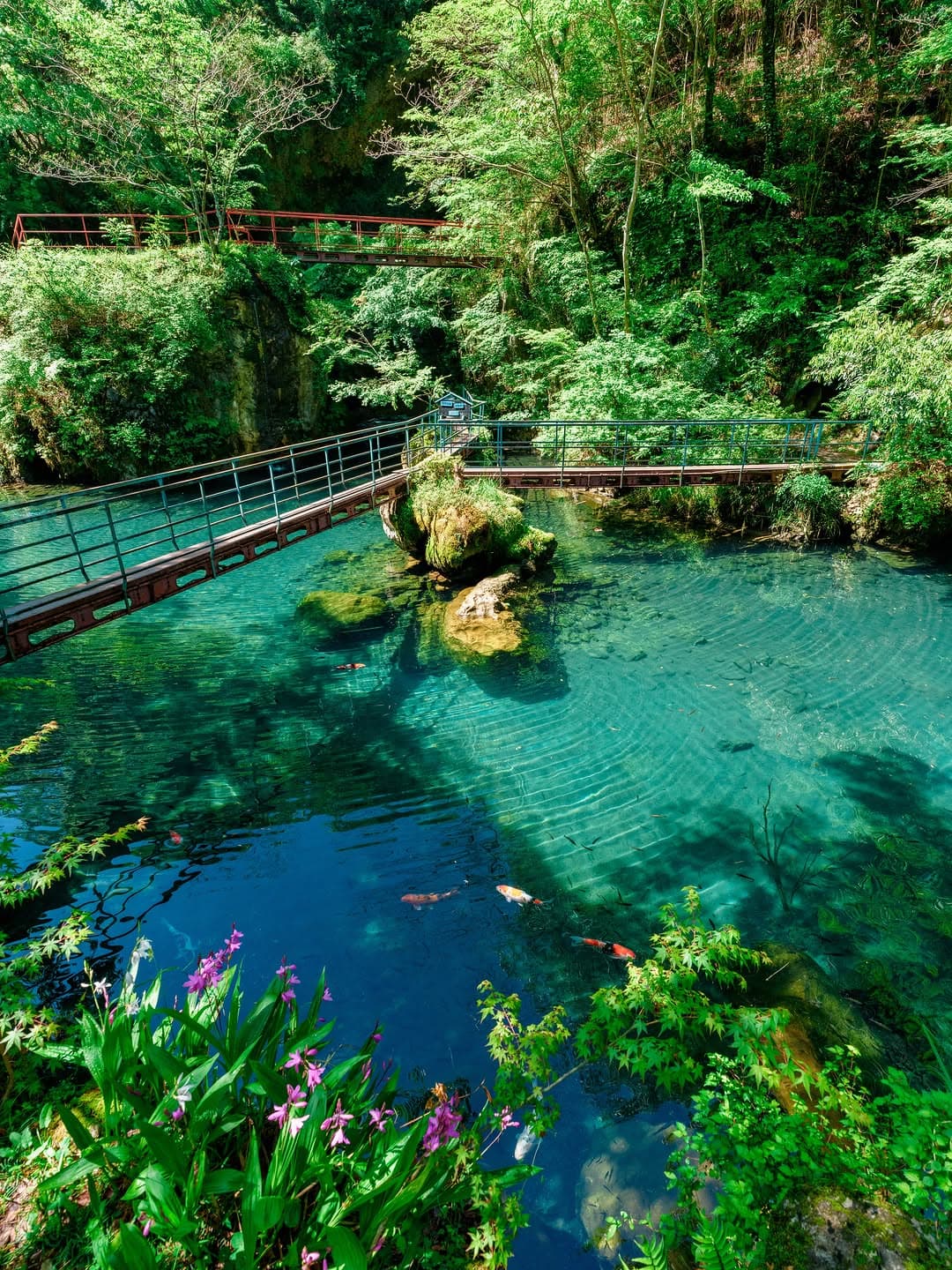 Tengu Highlands and Hakuryu Lake's Blue Waters