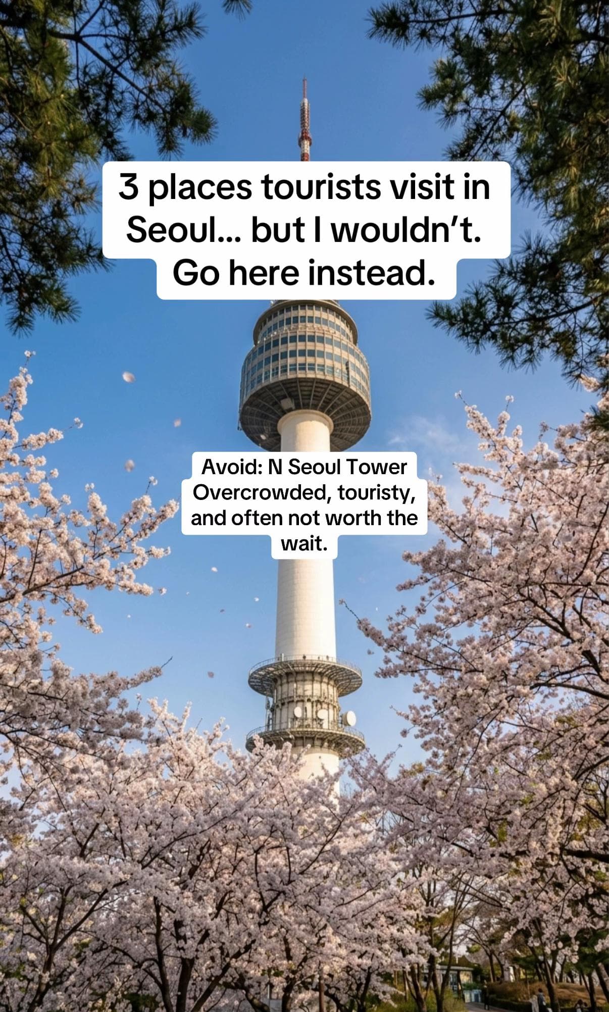 Seoul's Hidden Gems vs. Popular Tourist Spots