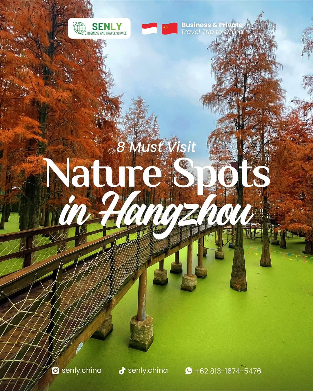 Hangzhou's Natural Beauty and Ancient Sites