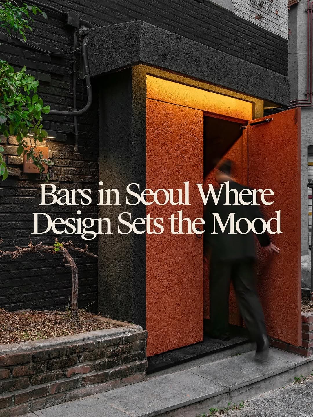 4 Bars in Seoul