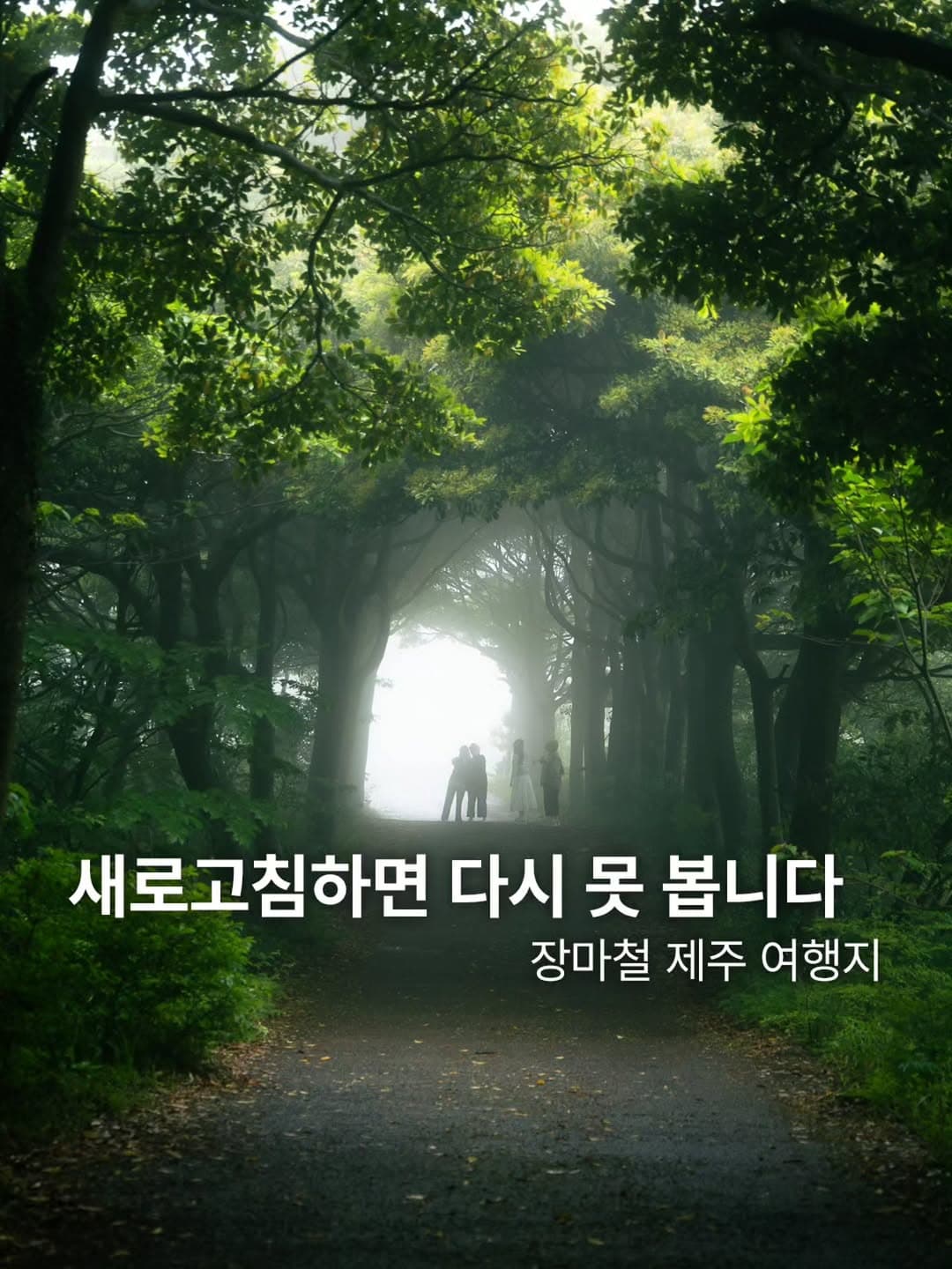 Jeju's Most Beautiful Rainy Day Destinations