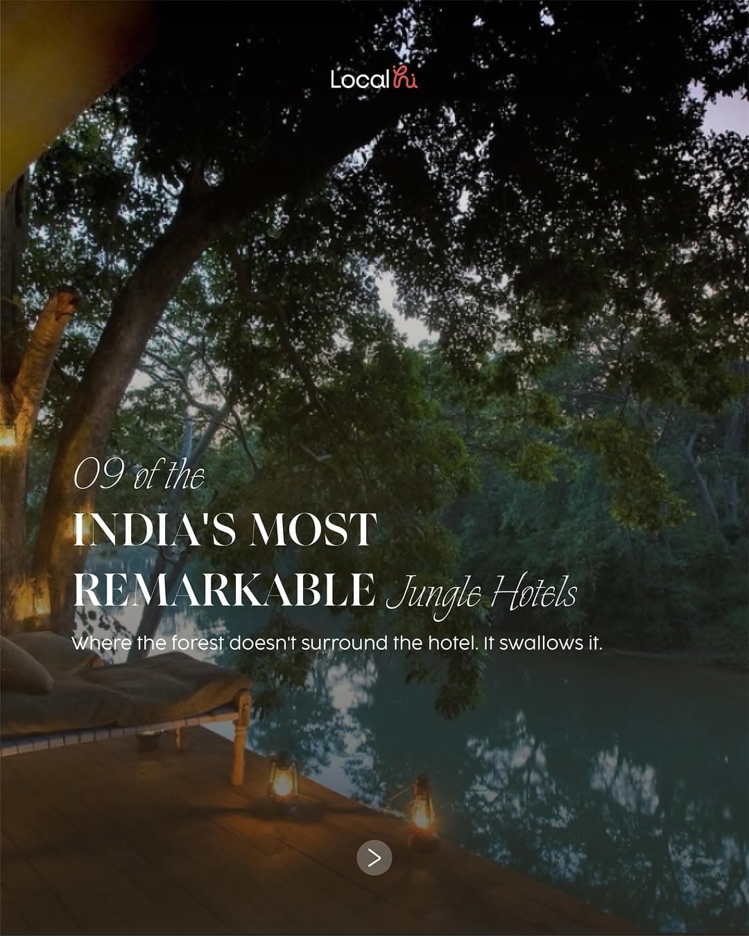 Nine Forest Stays That Truly Swallow You Whole