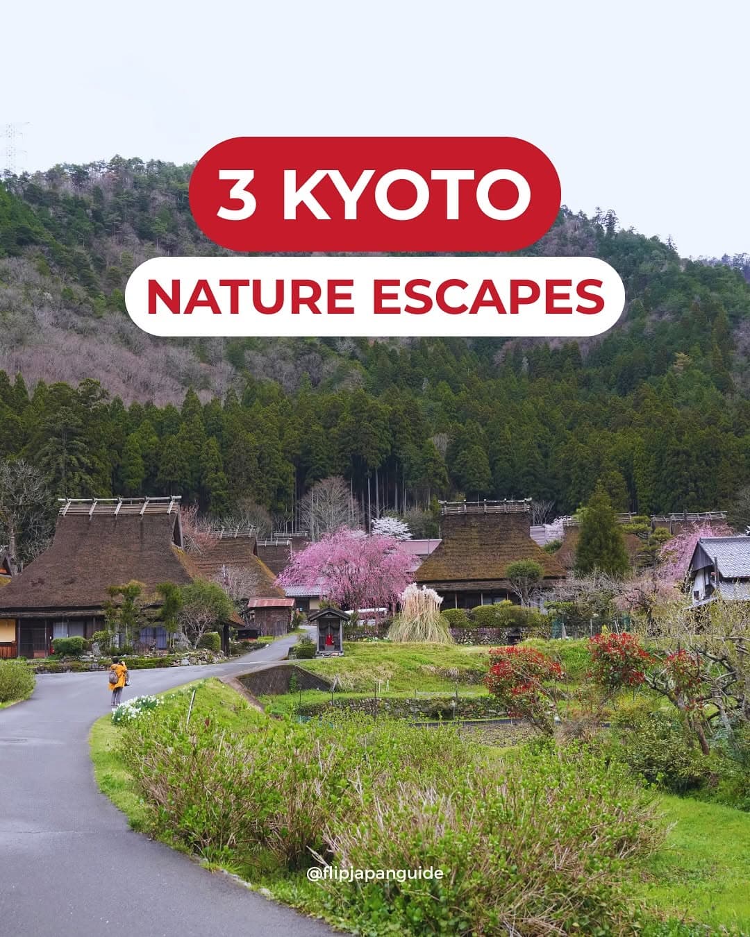 Kyoto's Serene Natural Escapes