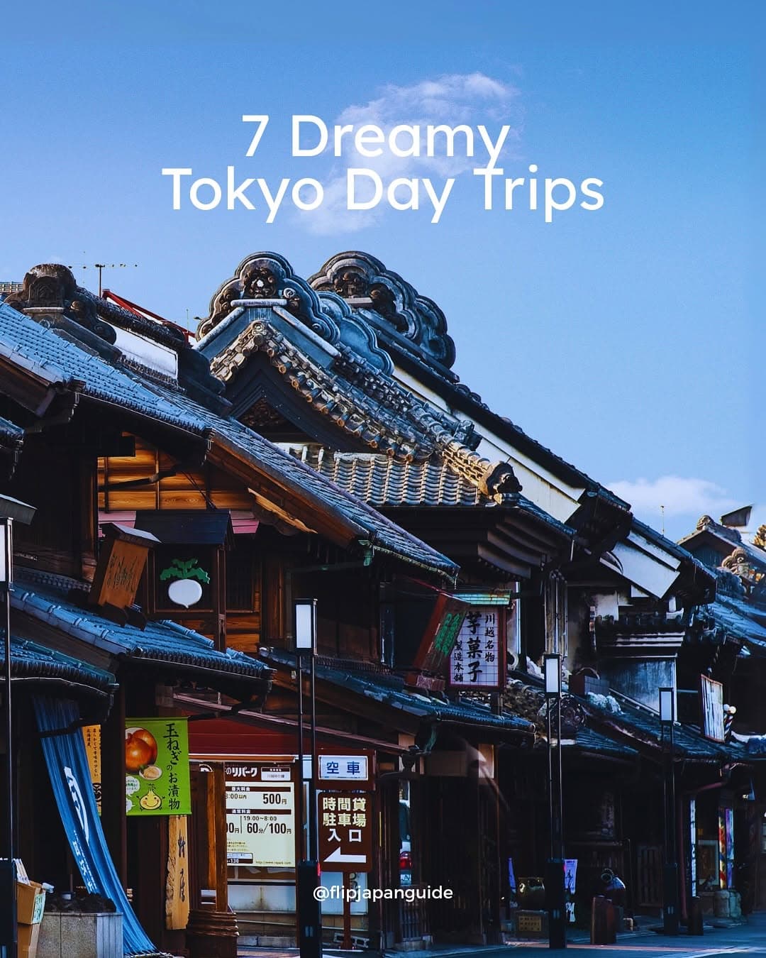 Tokyo Day Trips: Nature, Culture, and Scenic Views