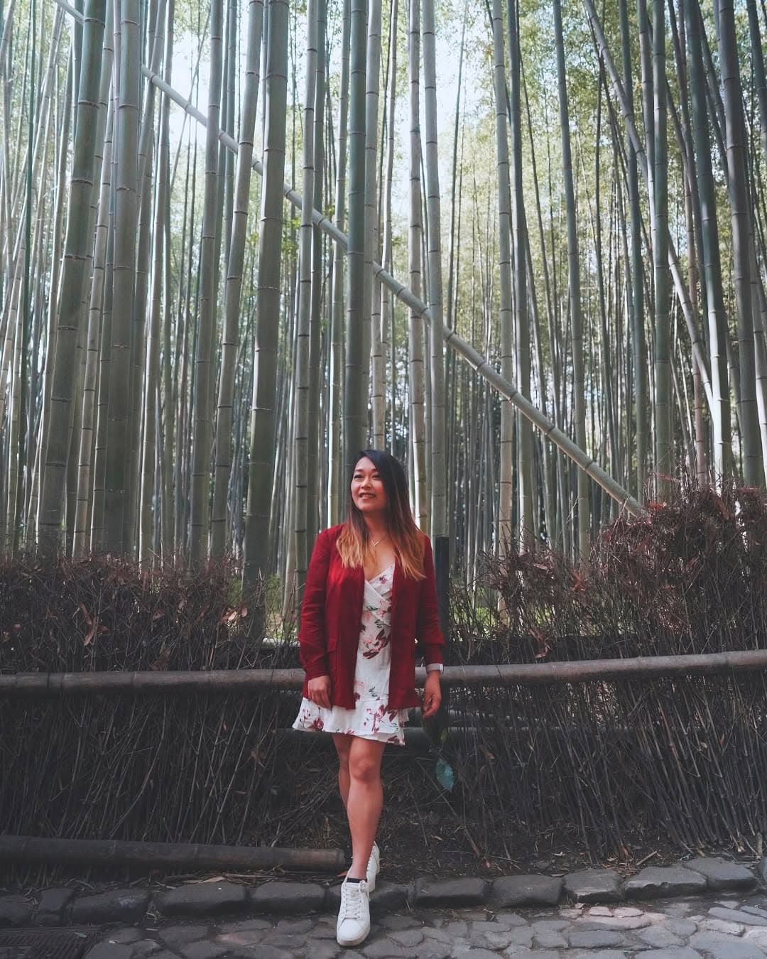 Arashiyama Itinerary: Bamboo Forest, Temples, and Monkeys