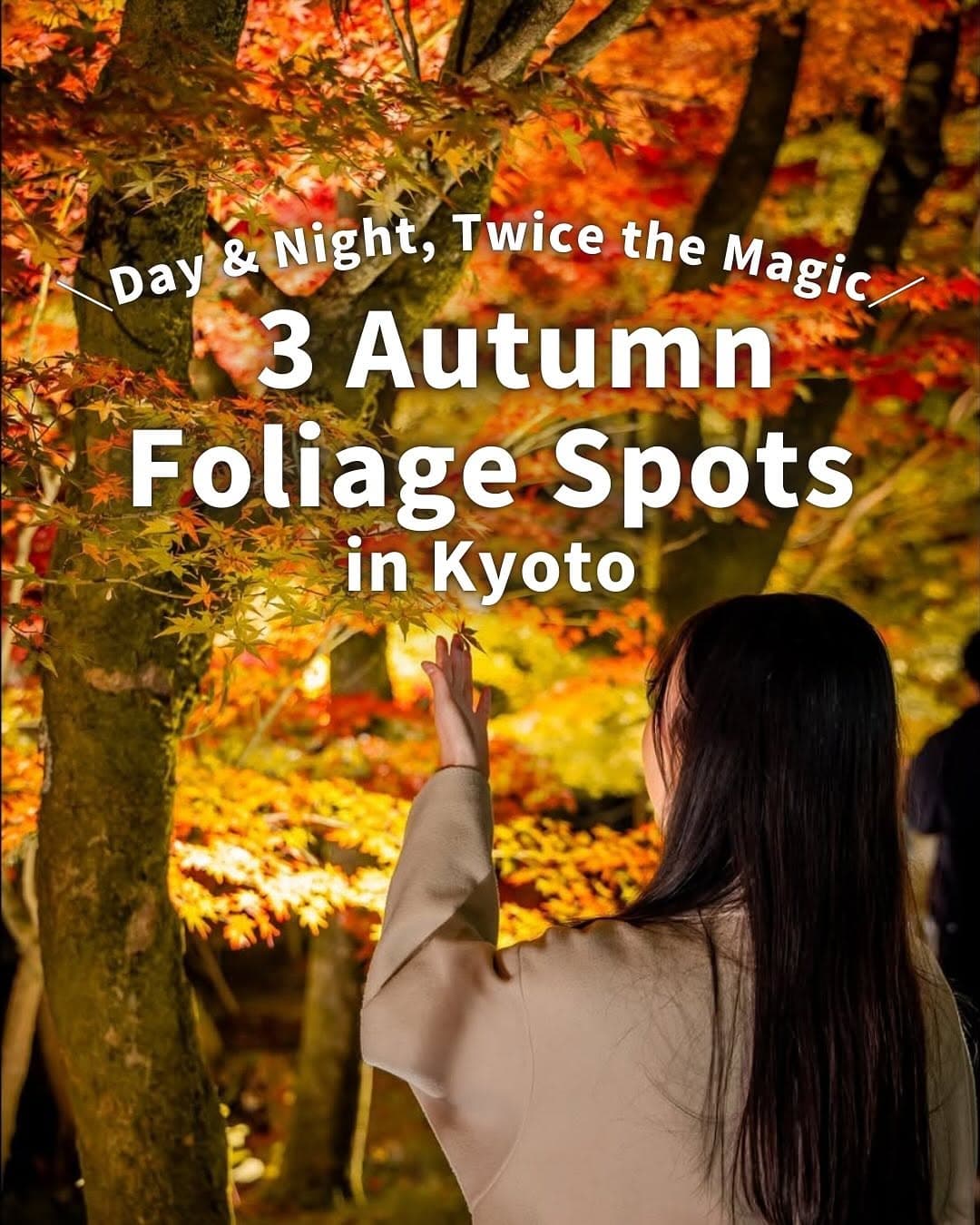 Kyoto's Best Day and Night Autumn Color Spots