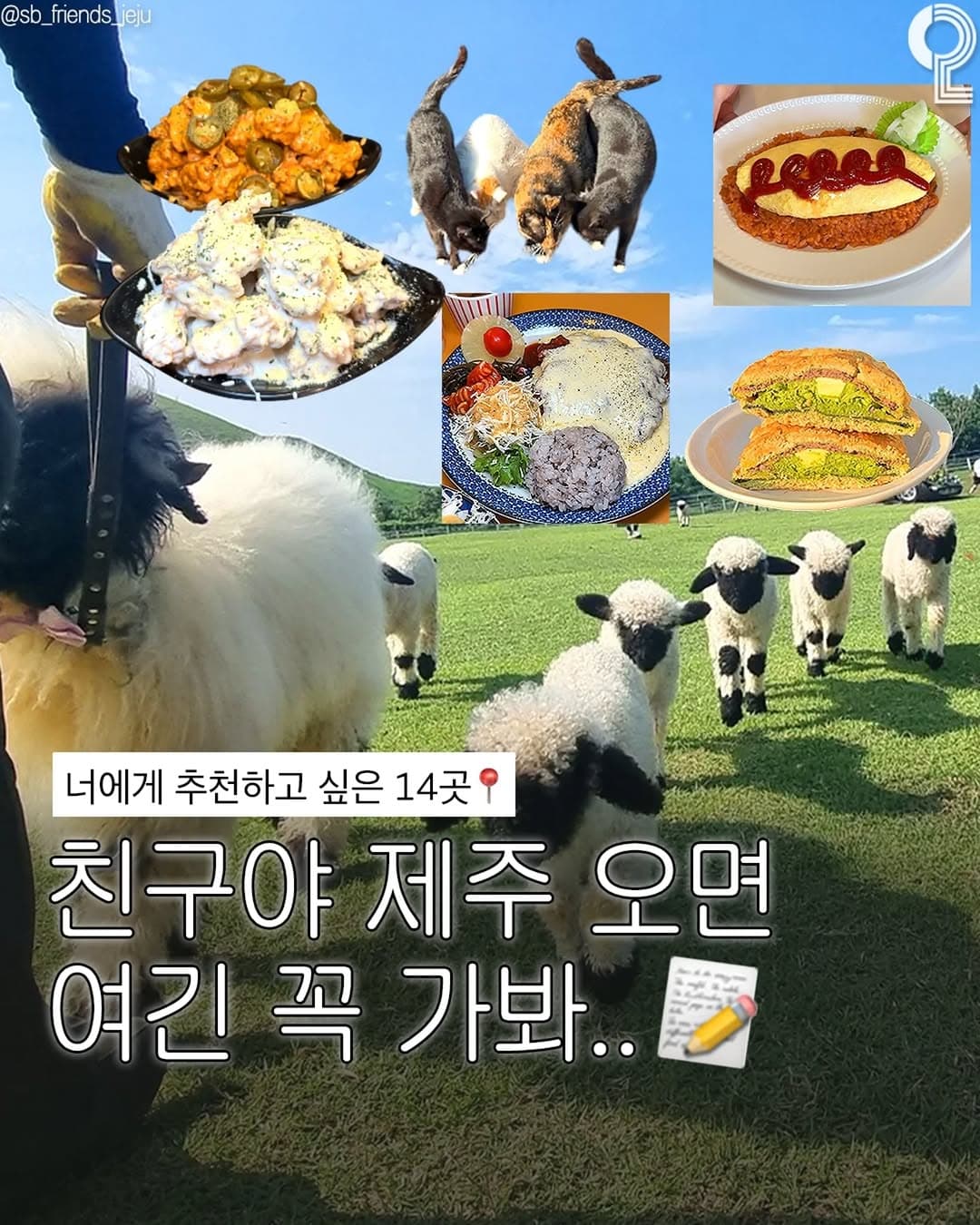 Must-Visit Jeju Island Spots For Friends