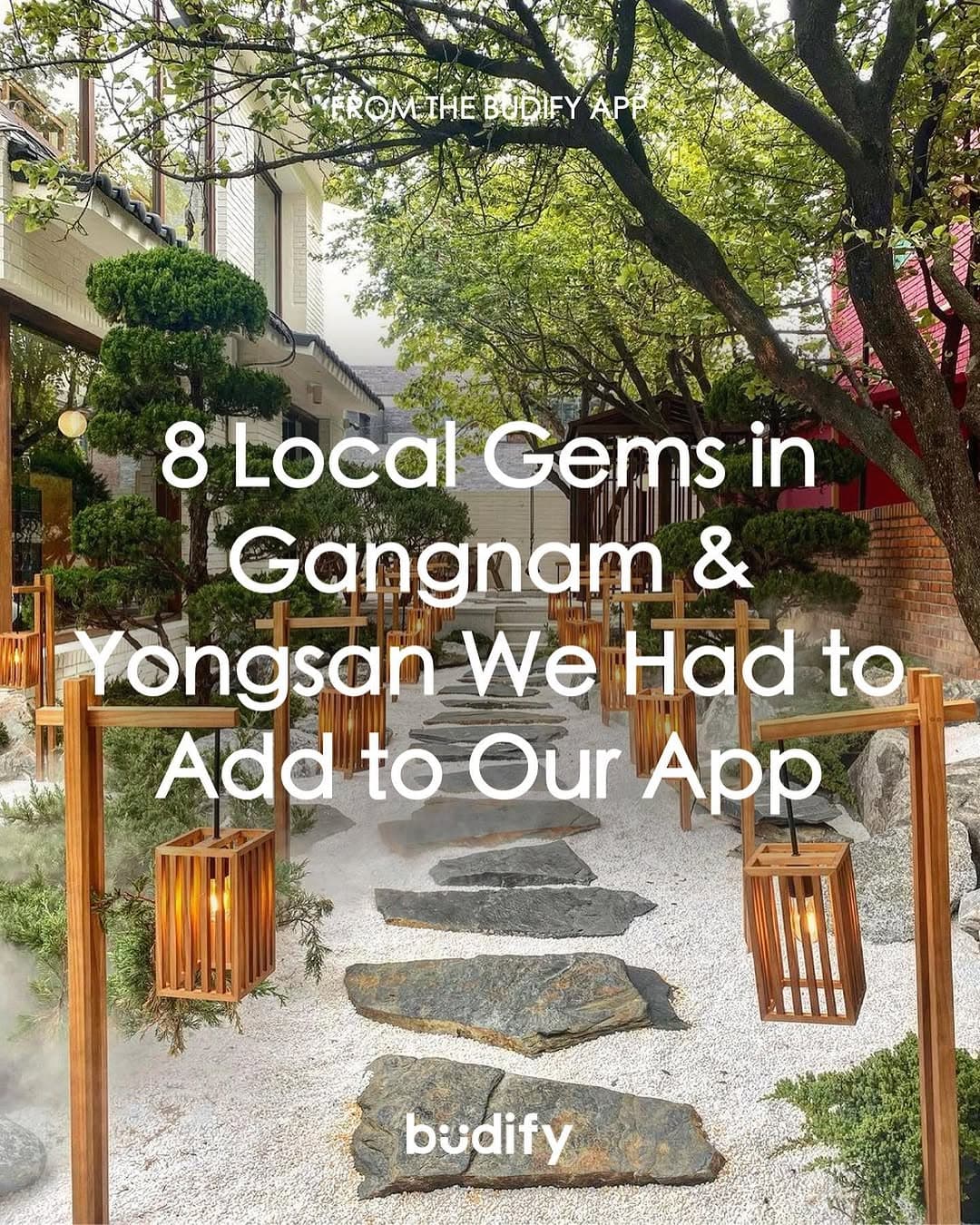Seoul's Gangnam and Yongsan: Foodie Delights