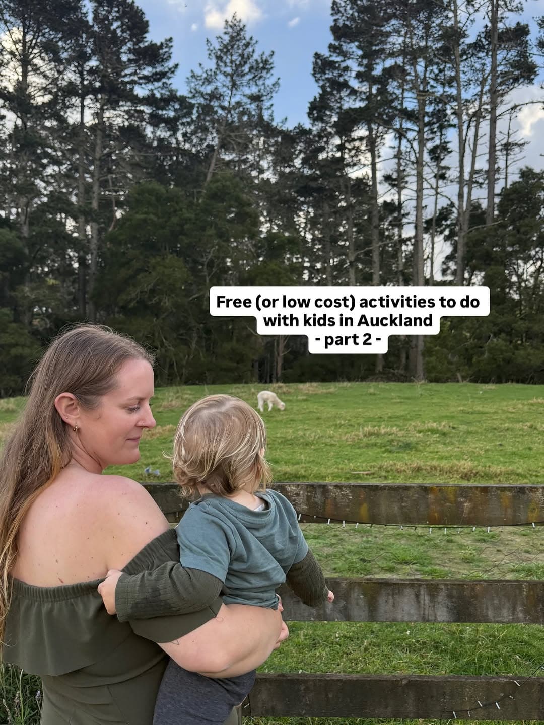Auckland Attractions And Parks
