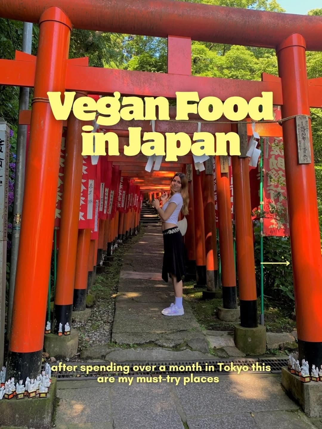 Tokyo's Vibrant Vegan Food Scene