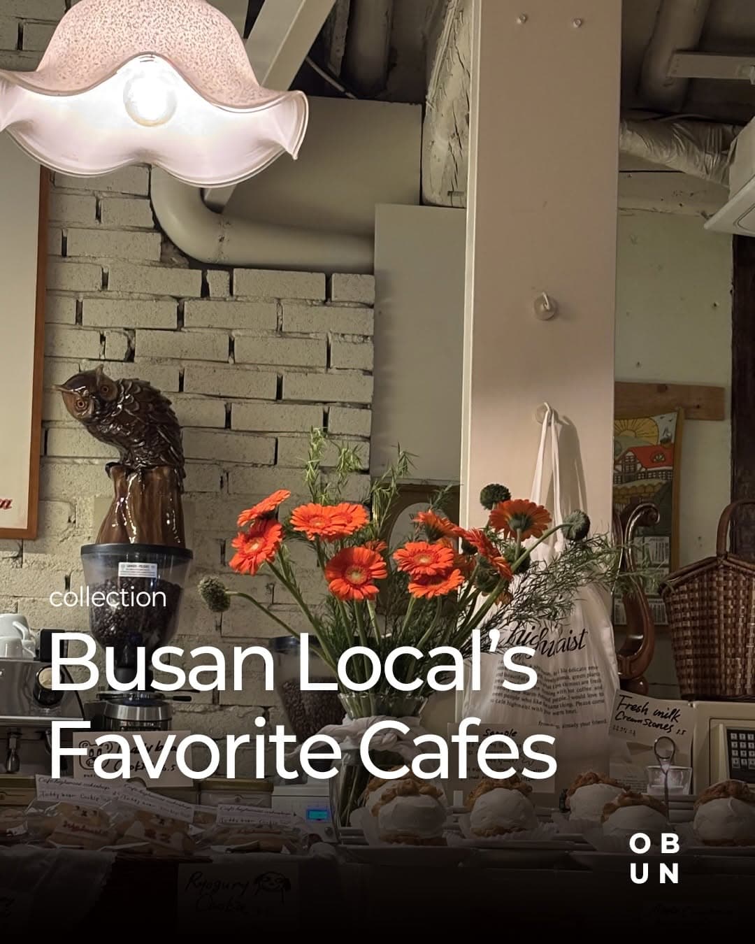 Busan's Unique Cafes And Breweries