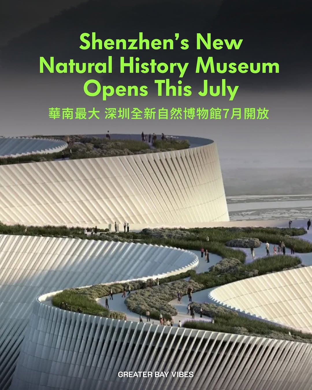 Shenzhen Natural History Museum Opens With Diverse Exhibits