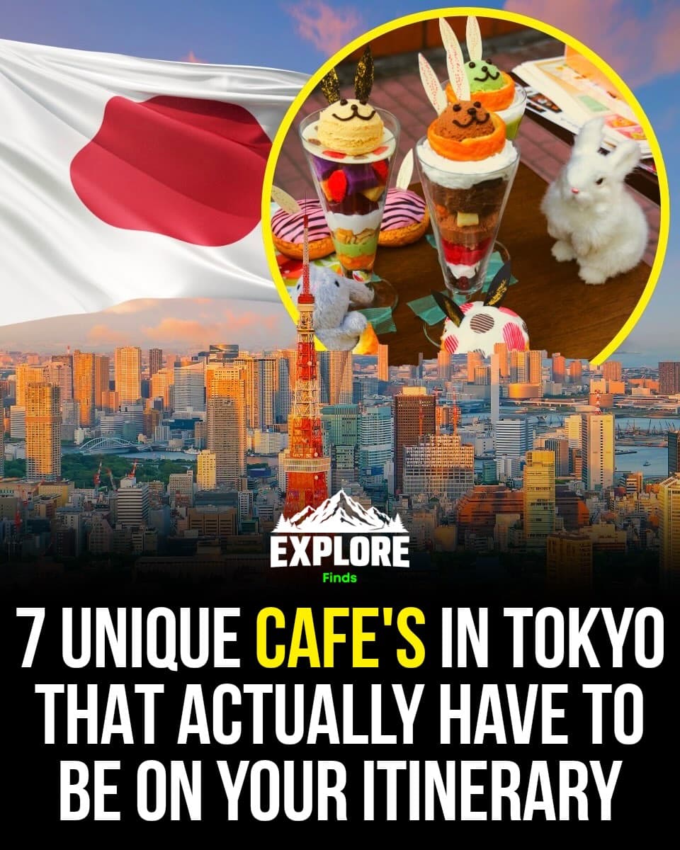 Tokyo's Unique Themed Cafes