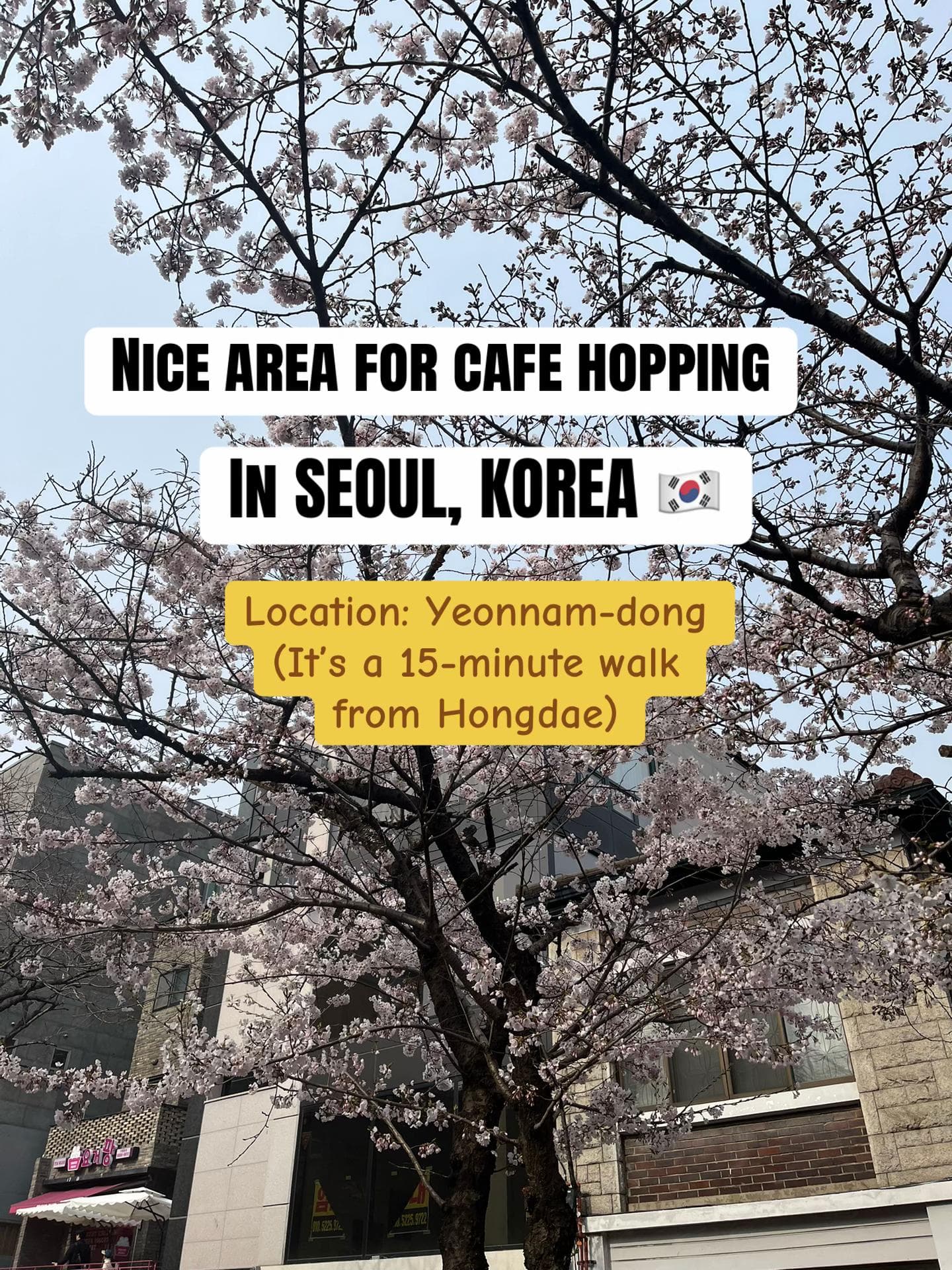 Yeonnam-dong Cafes To Explore In Seoul