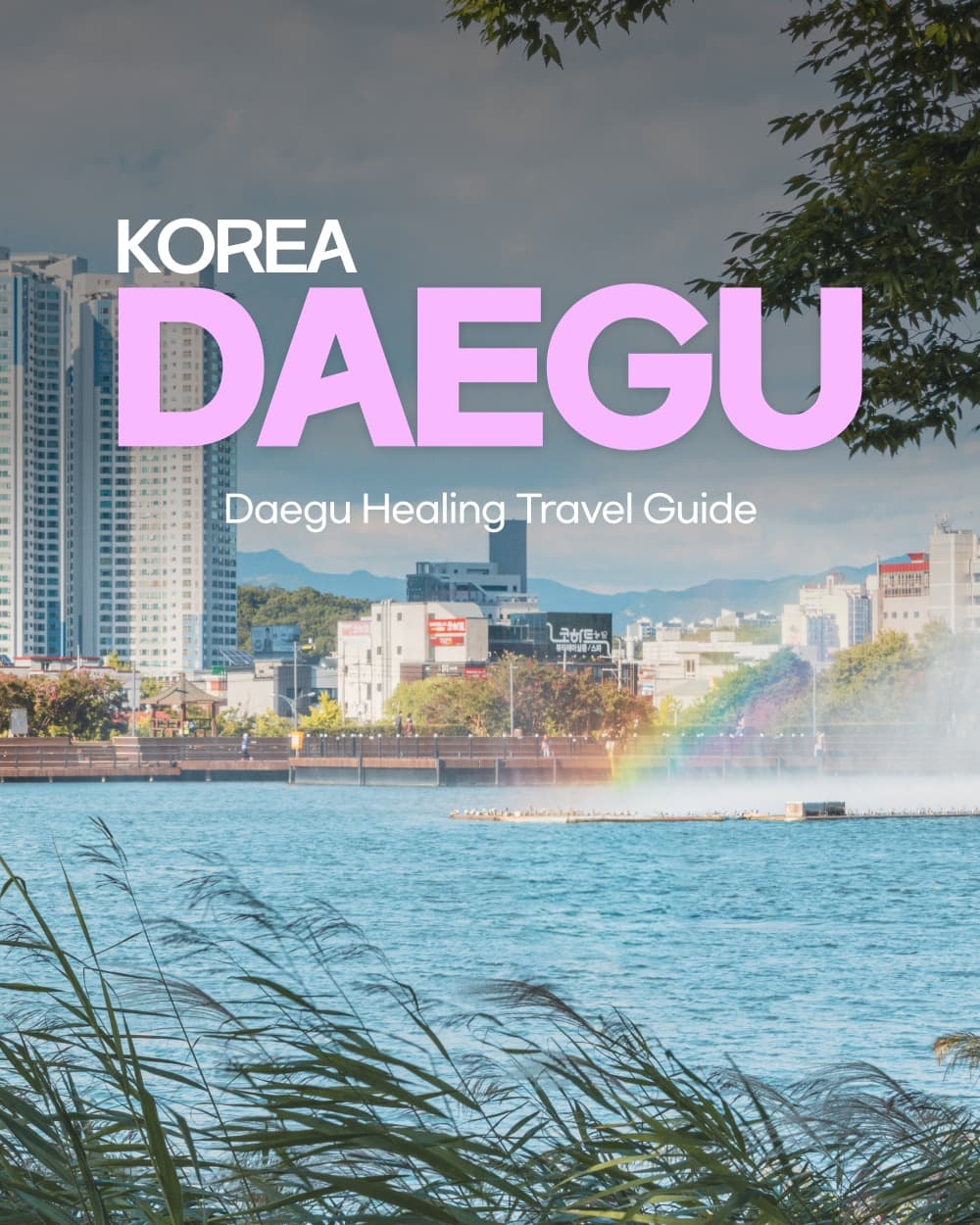 Daegu Half-Day Healing Itinerary