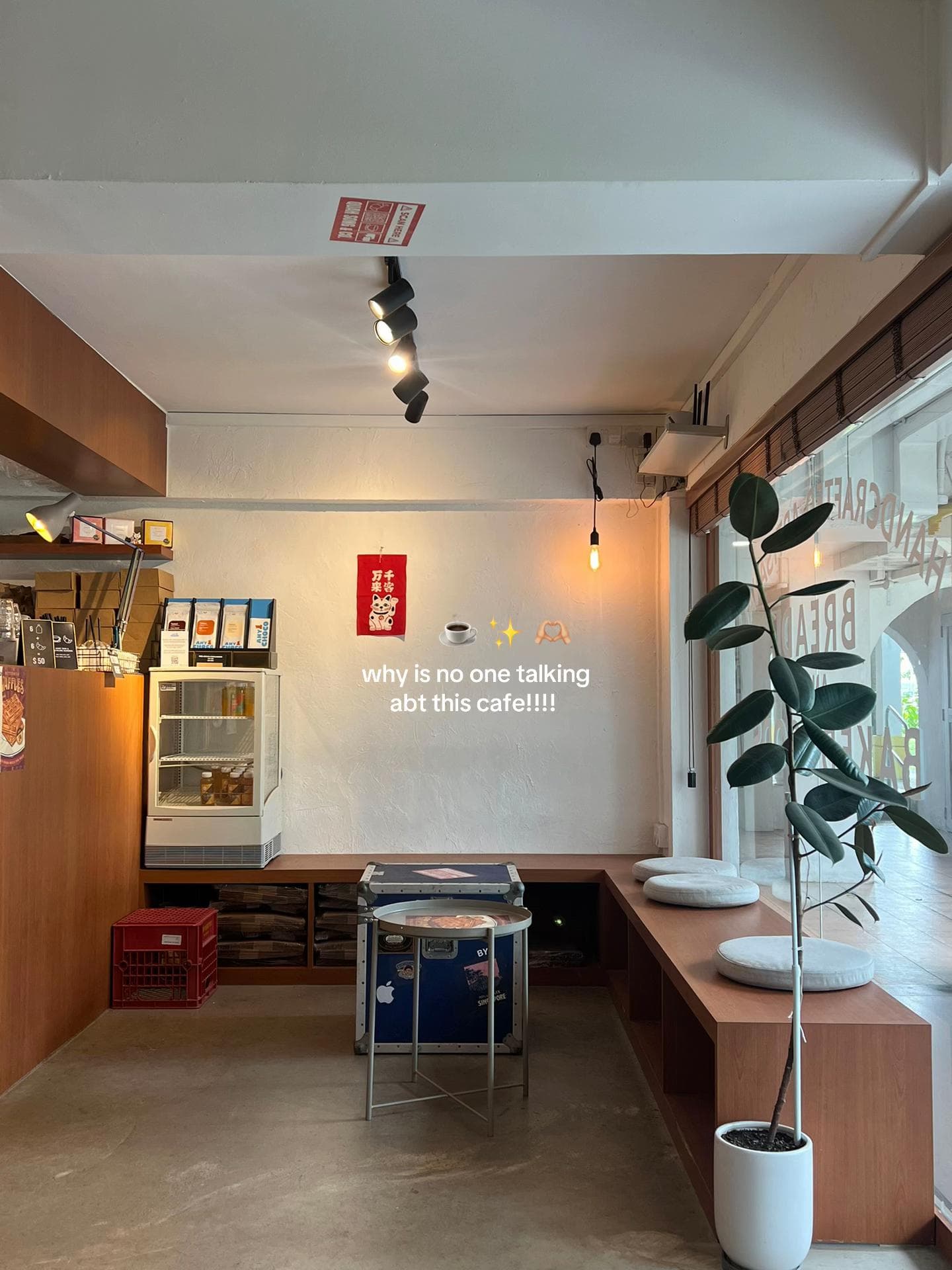 Cozy & Vibey Coffee Shops with Friendly Staff