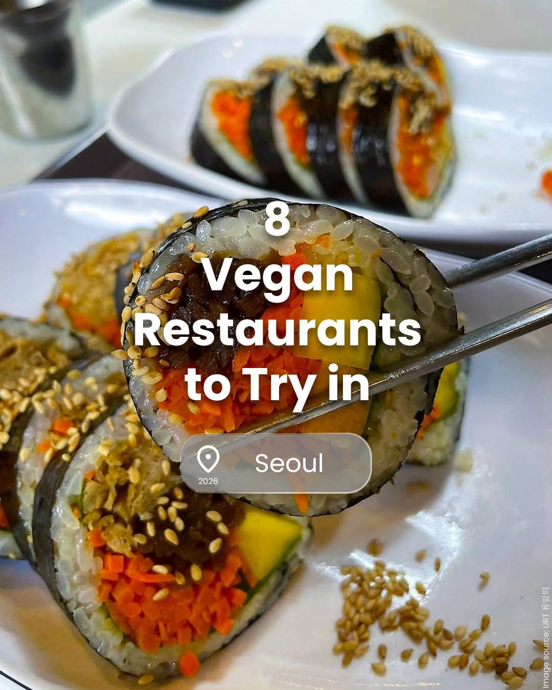 Seoul's Top 8 Highly-Rated Vegan Eateries