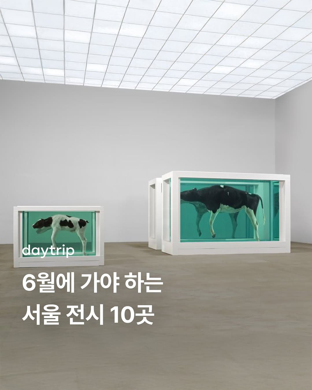 Must-See Seoul Art Exhibitions This June