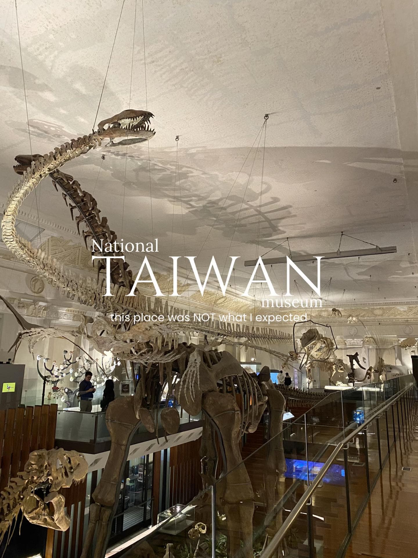 National Taiwan Museum: History and Prehistoric Worlds