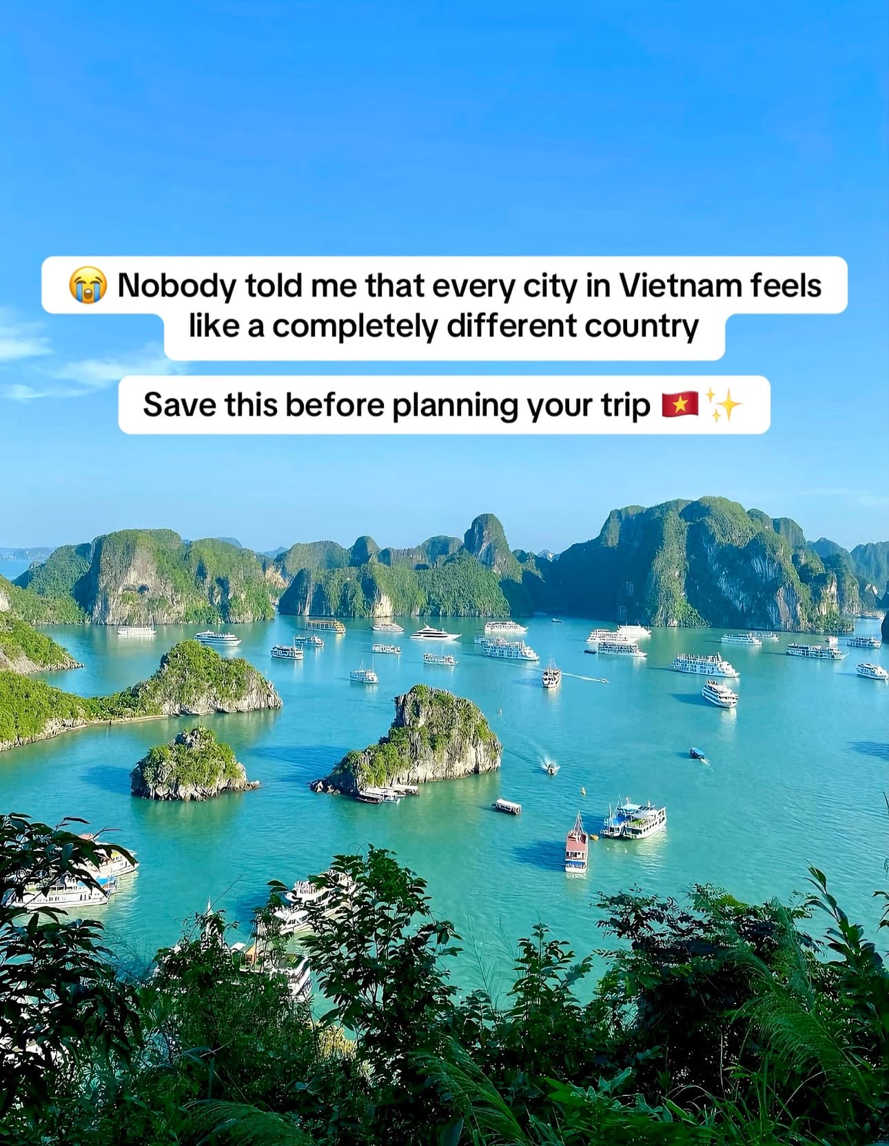 Hanoi, Halong Bay, Da Nang, Hoi An, Nha Trang Adventures