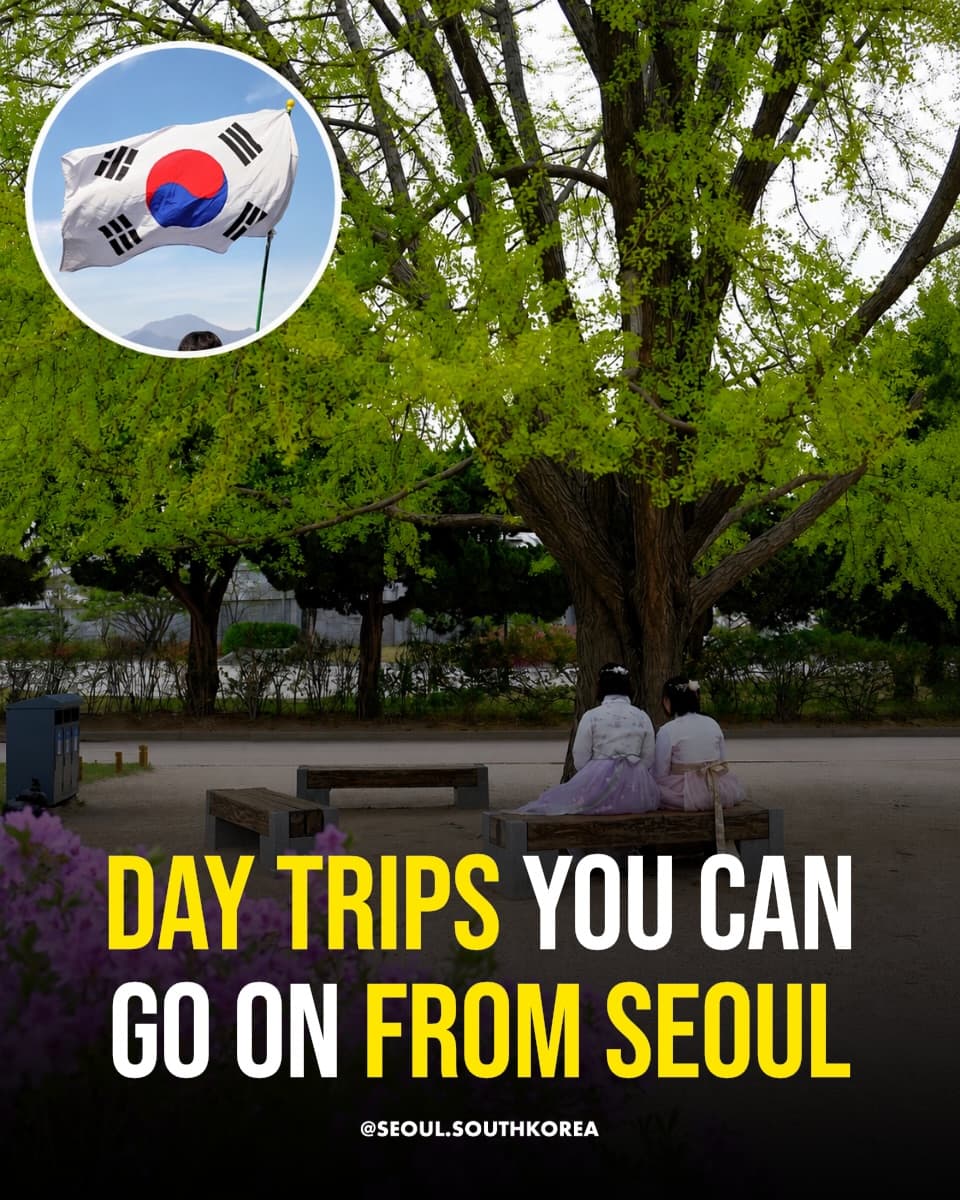 Day Trips From Seoul: Fortresses, Islands, and Parks