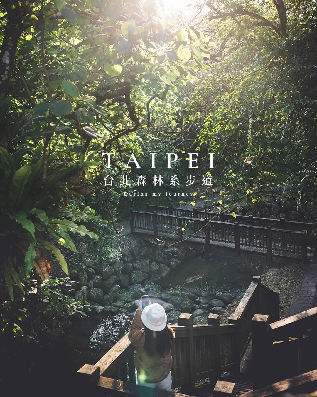 Four Accessible Forest Trails In Taipei