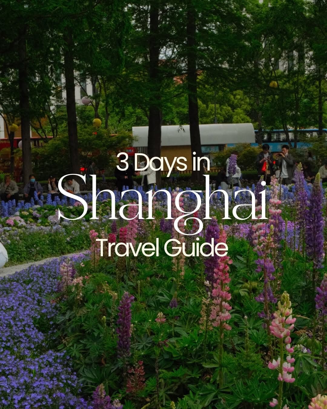 Shanghai Highlights: Historic Sites and Modern Wonders