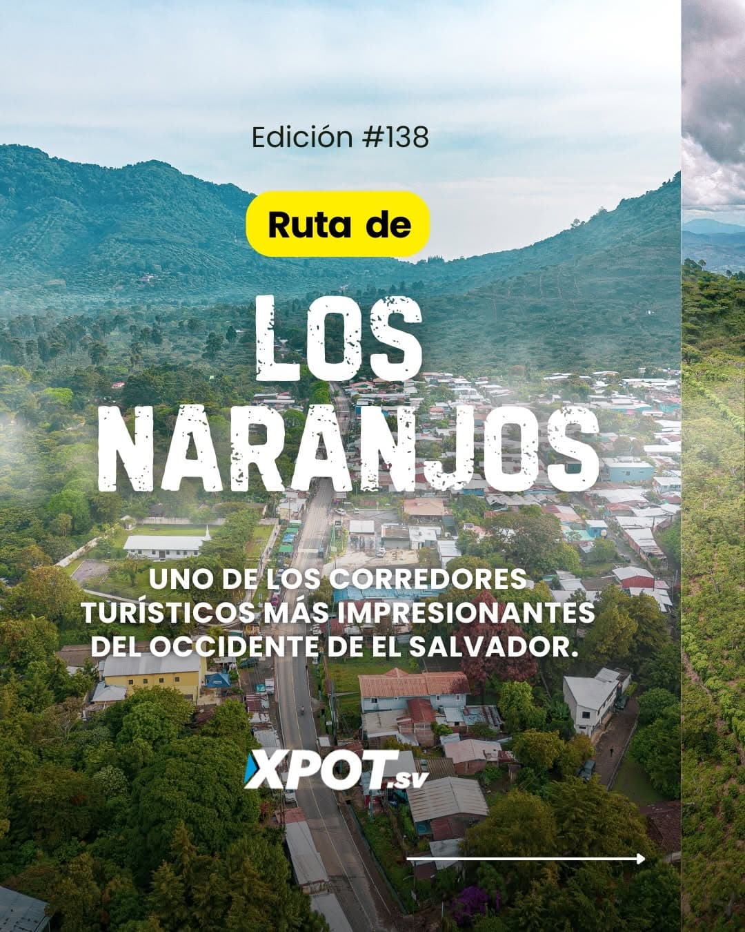Ruta de Los Naranjos: Coffee Farms, Fog & Food