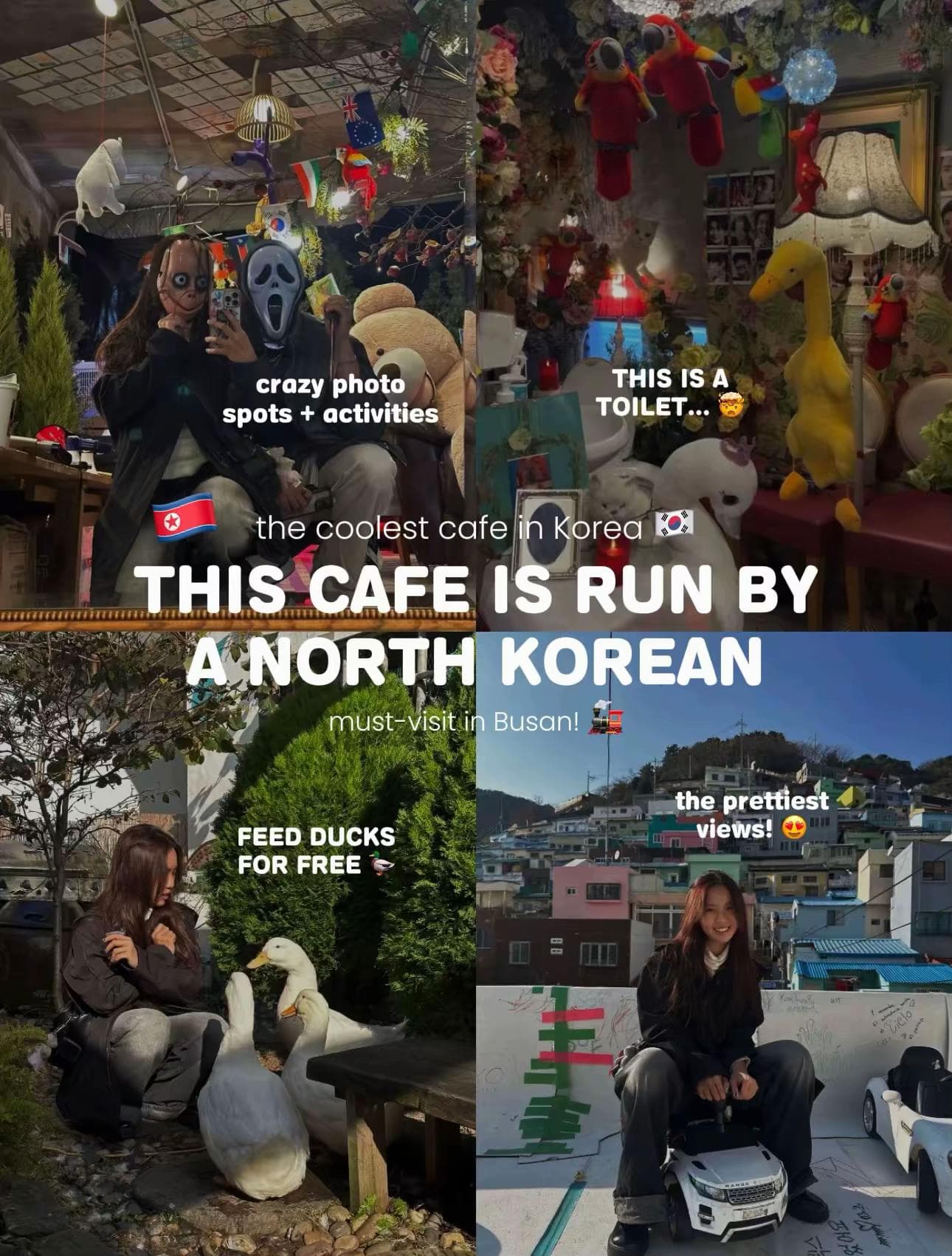 DUF Coffee: A Unique Busan Cafe With a Heart