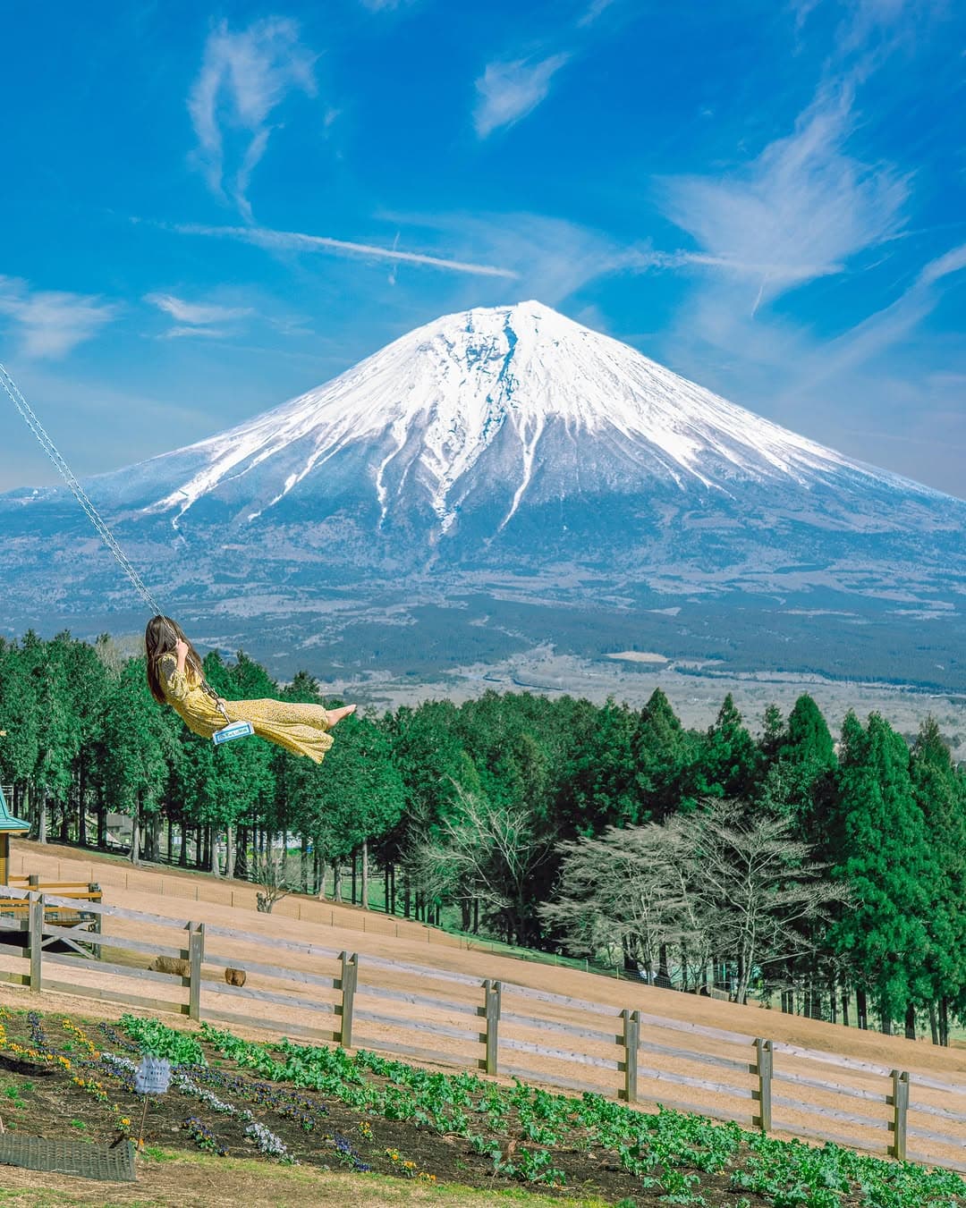Shizuoka's Natural Beauty and Historic Sites