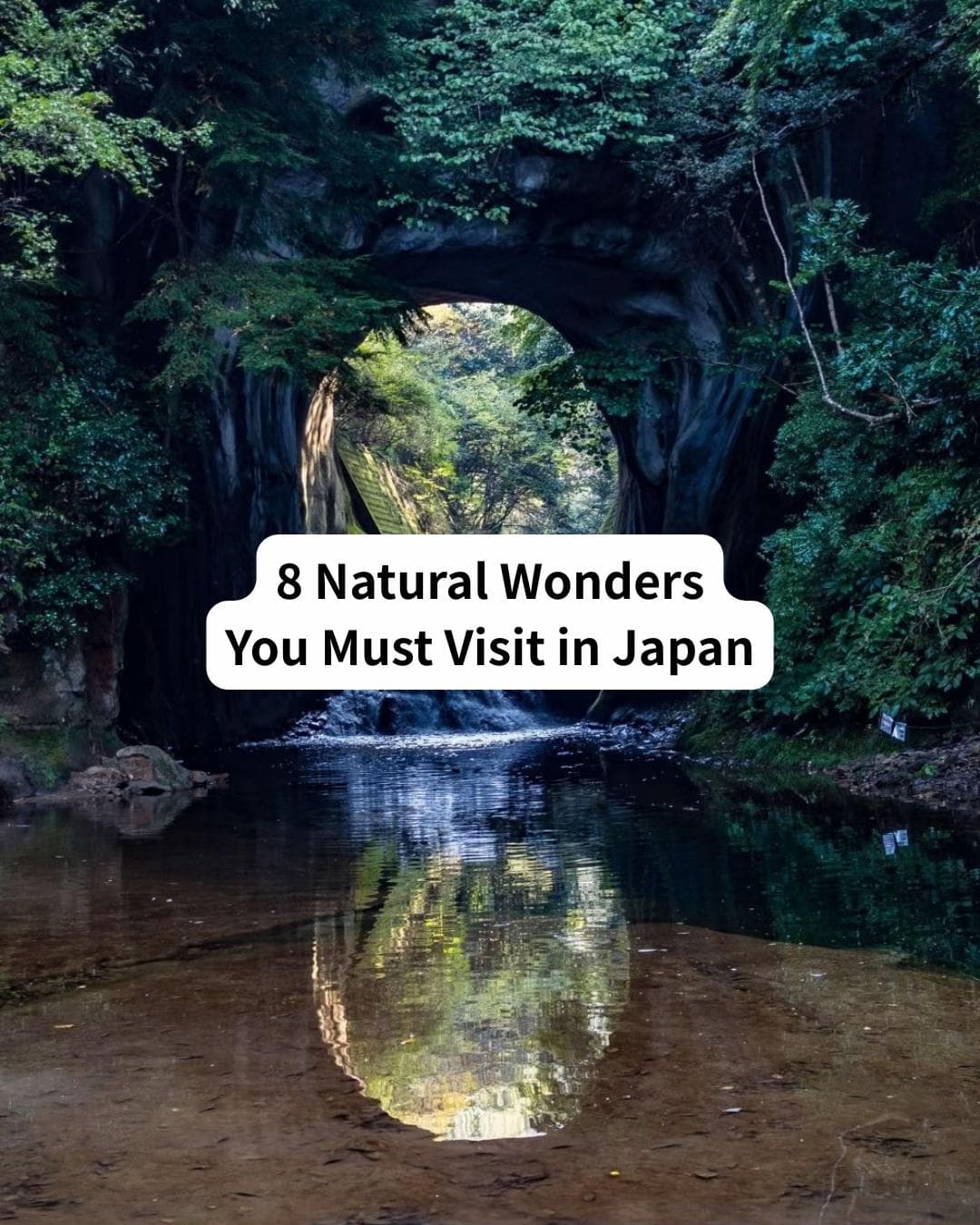 Japanese Destinations: Nature, Castles, and Theme Parks