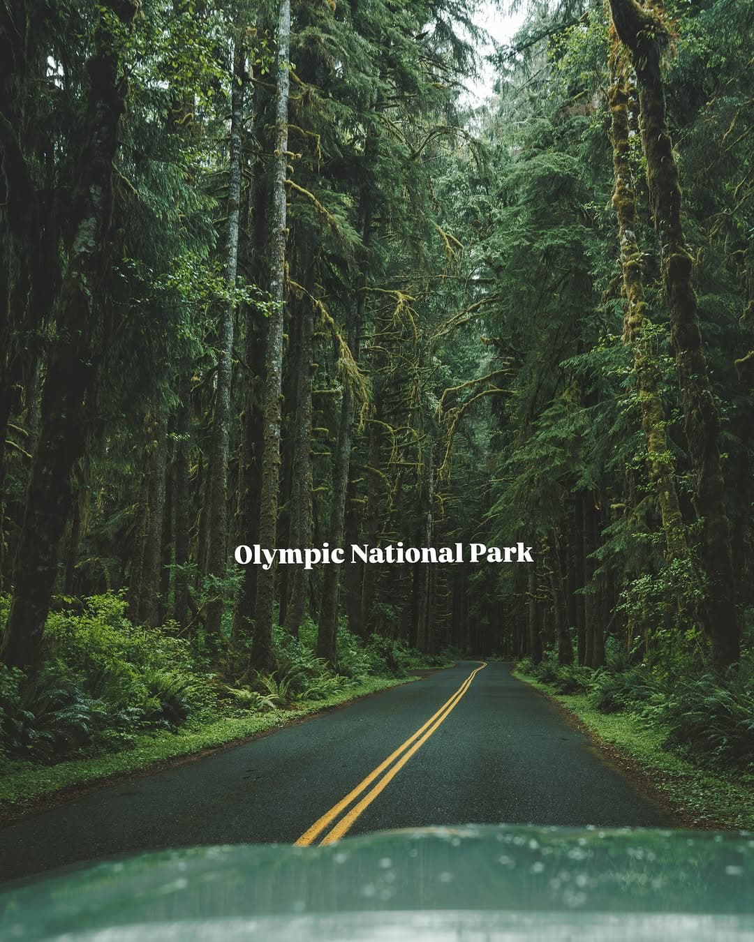 Olympic Peninsula's Natural Wonders