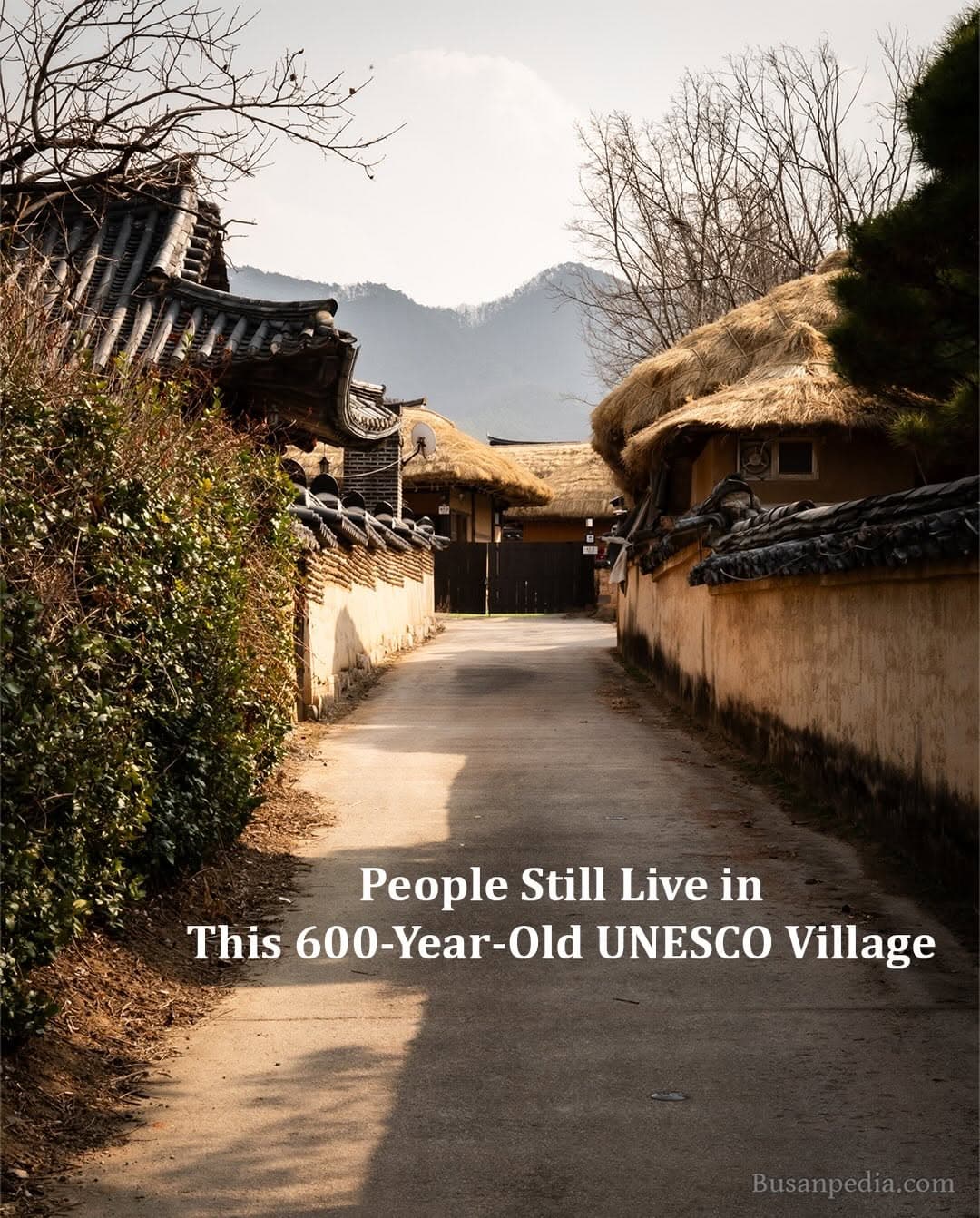 Hahoe Folk Village And Museum