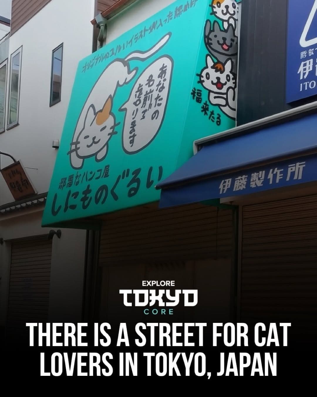 Yanaka Ginza: Tokyo's Cat-Themed Shopping Street