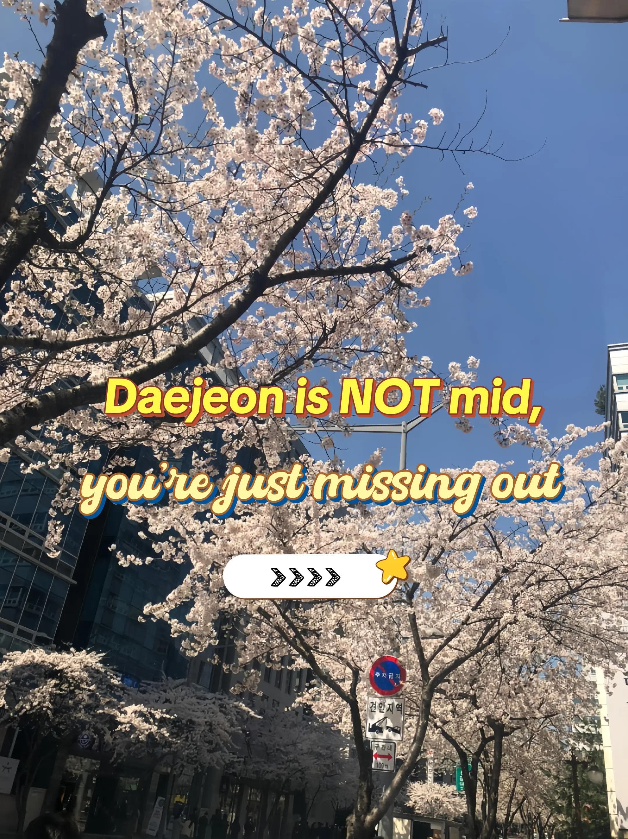 Discover Daejeon: A Chill and Scenic South Korean City