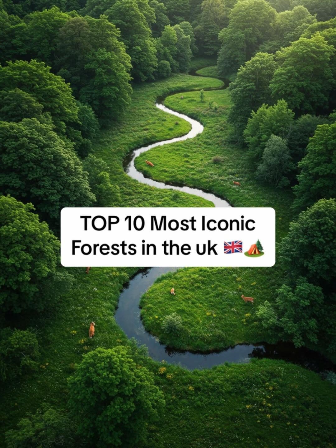 Forest Parks and Woodlands Across the UK