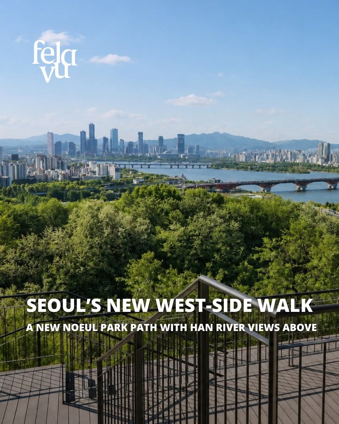 World Cup Park's Metasequoia Paths Connect for Longer Walks