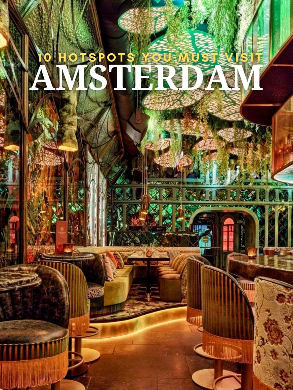 Amsterdam's Top Dining and Drinking Hotspots