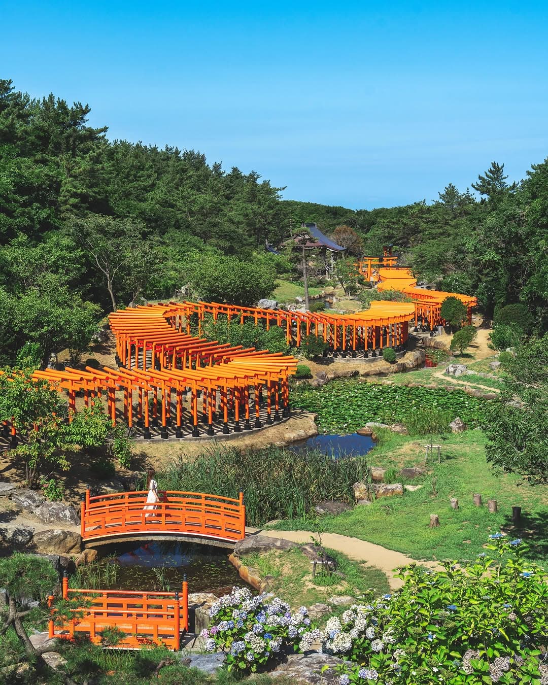 Aomori Summer Destinations: Shrines, Nature, and Markets