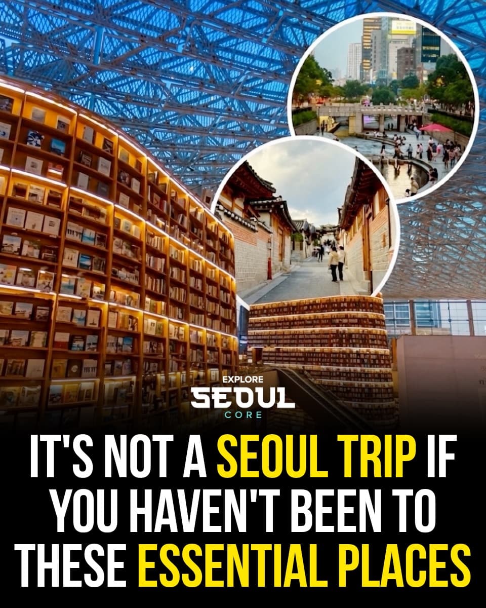 Seoul's Top Attractions and Transportation Guide