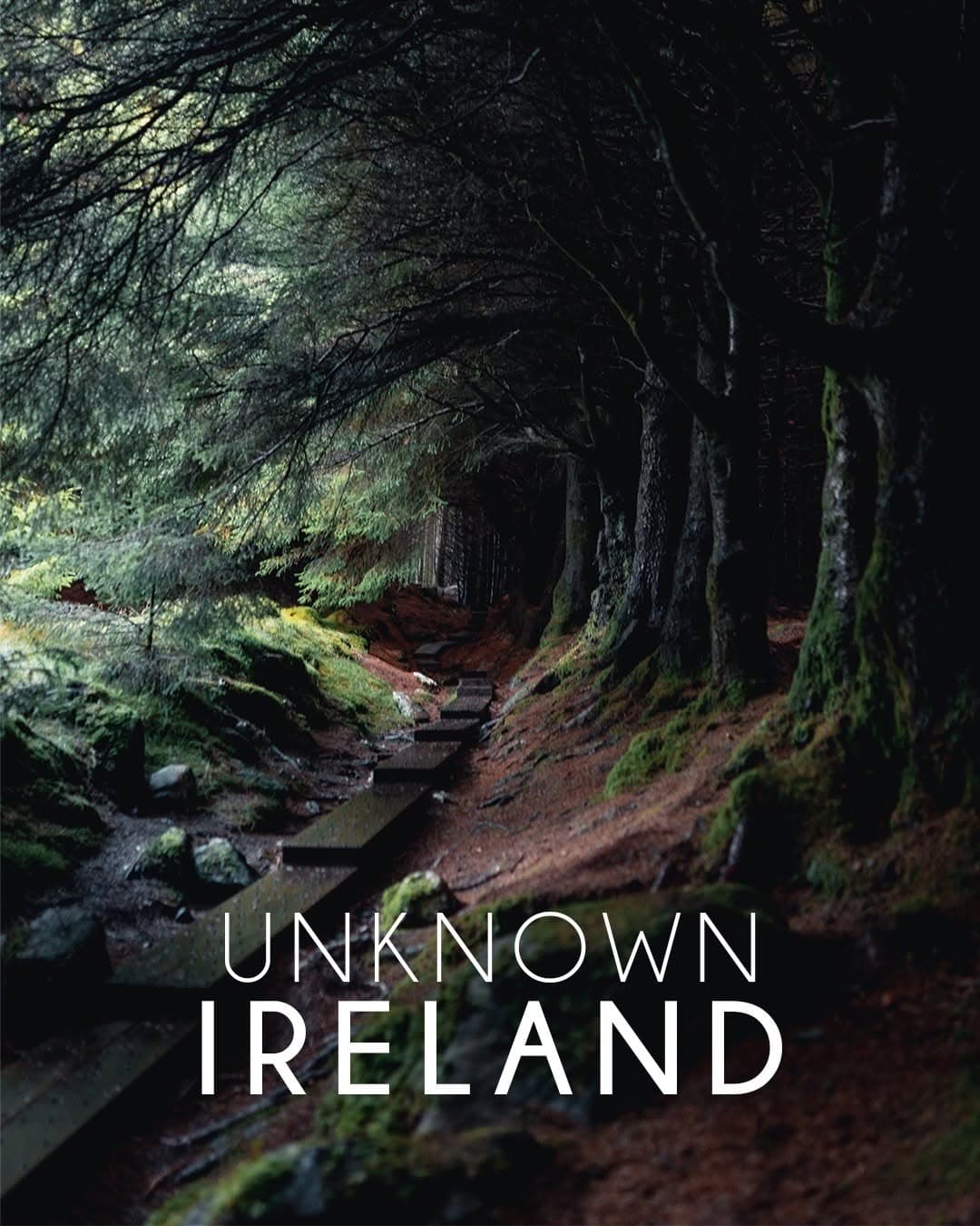Irish Castles, Abbeys, Beaches, and Natural Wonders