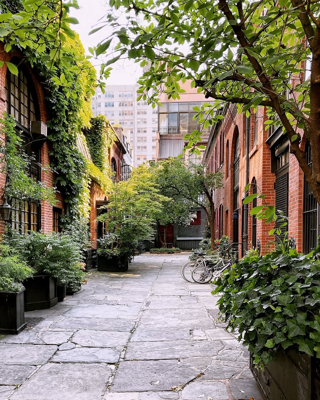 Charming Historic Mews: Sniffen Court and Warren Place