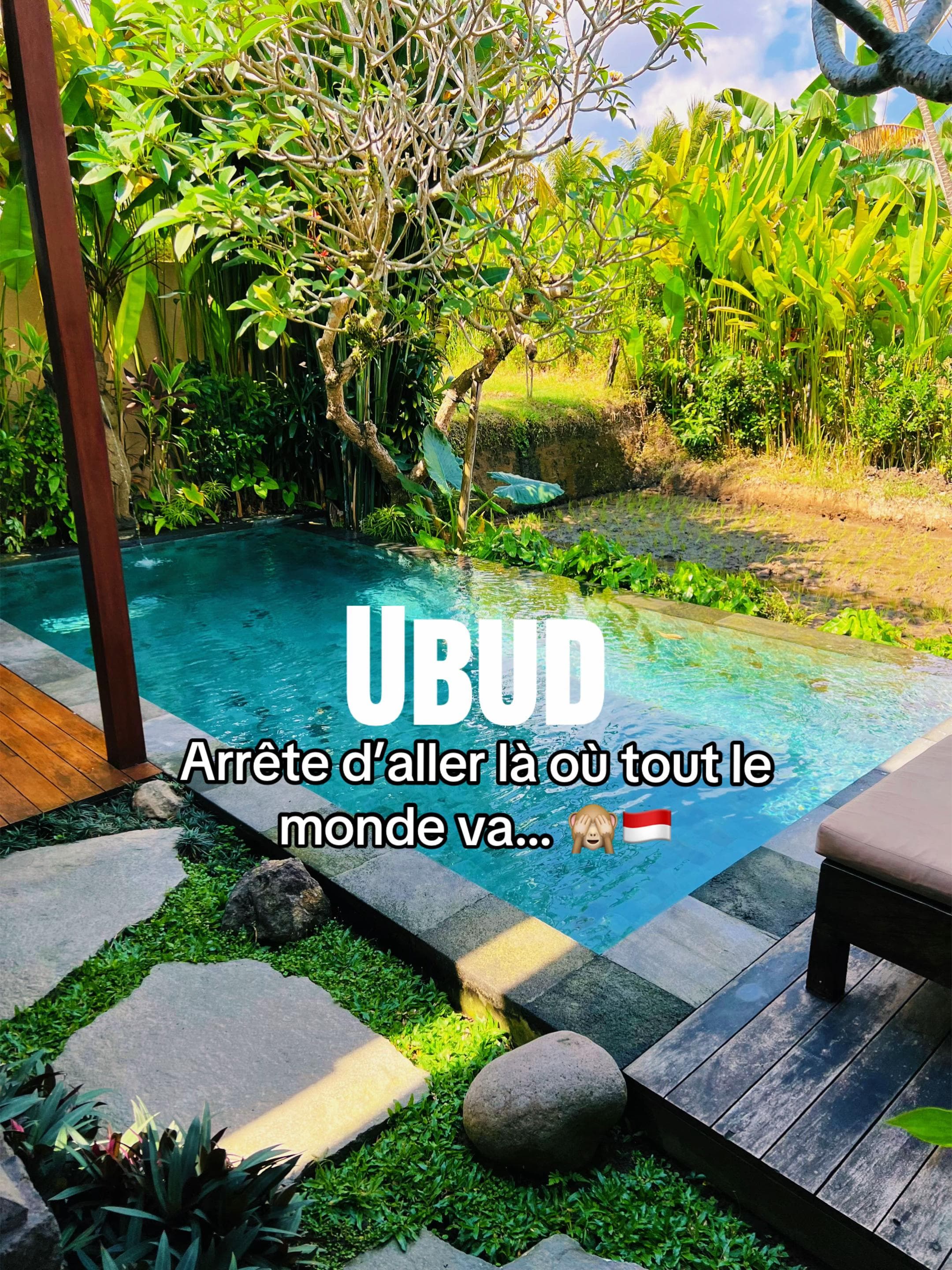 Ubud's Secret Spots: Monks, Waterfalls, and Hidden Eateries