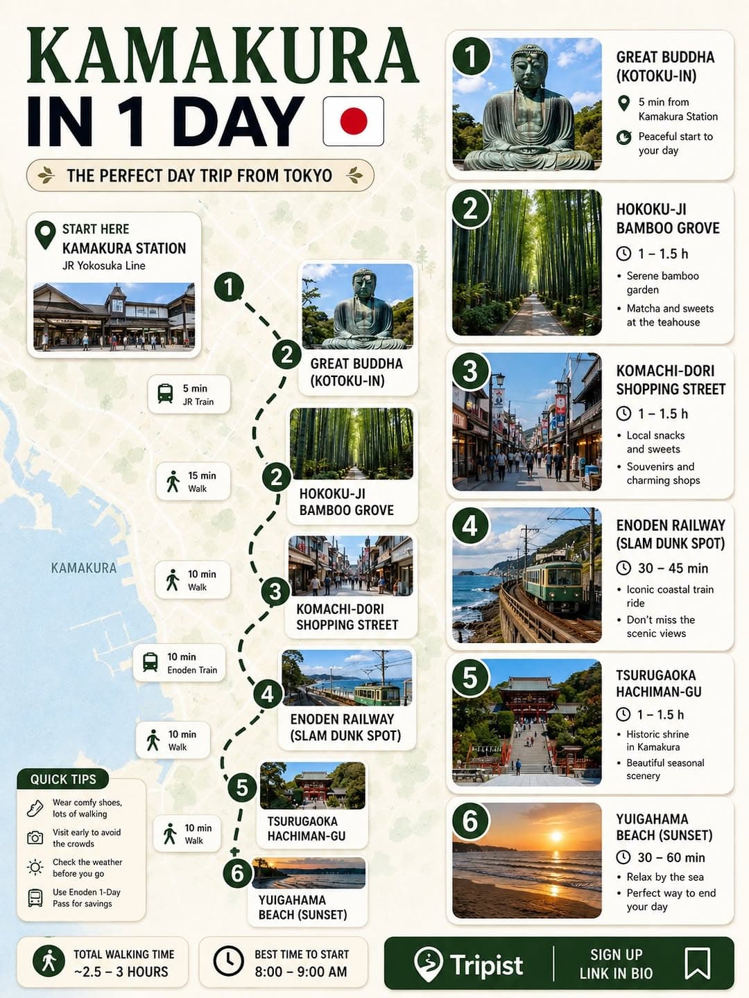 Tokyo and Kamakura's Top Attractions