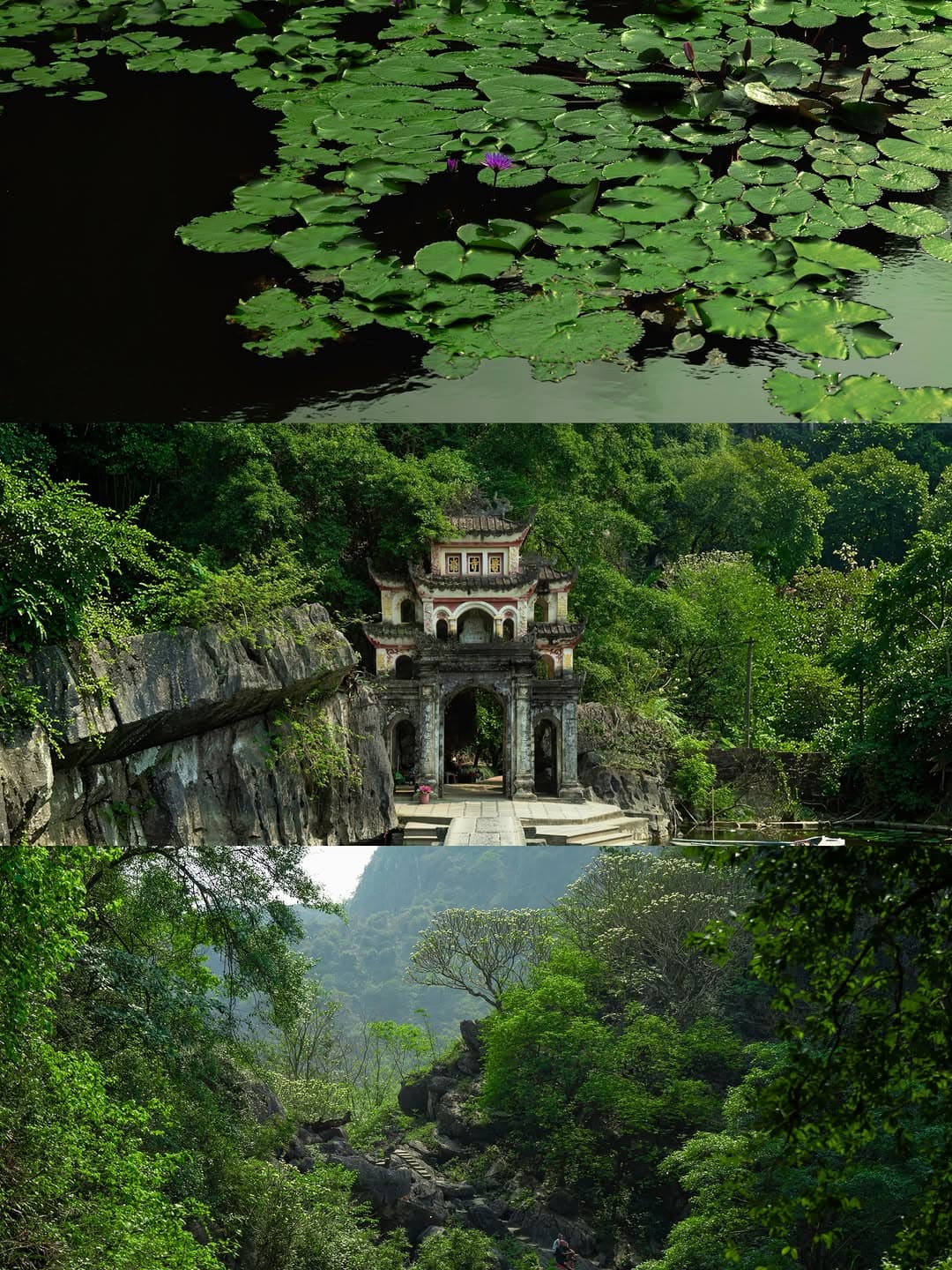 Vietnam's Bich Dong Pagoda, Hoa Lu, and Trang An
