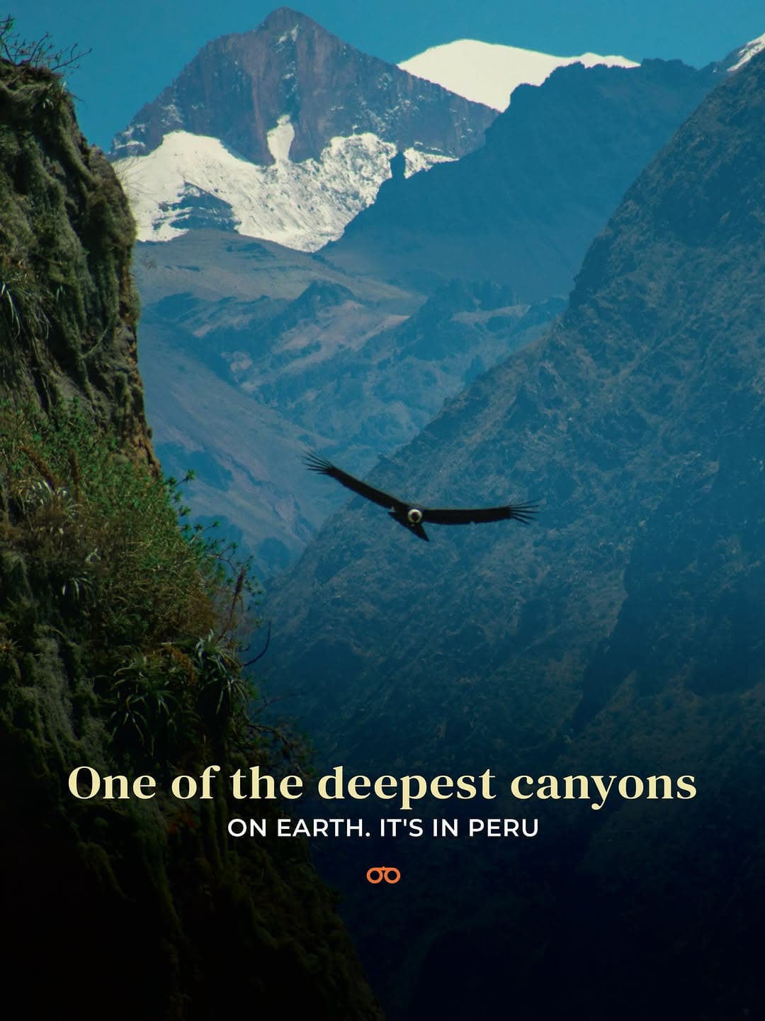 Colca Canyon: Peru's Majestic Condor Sanctuary