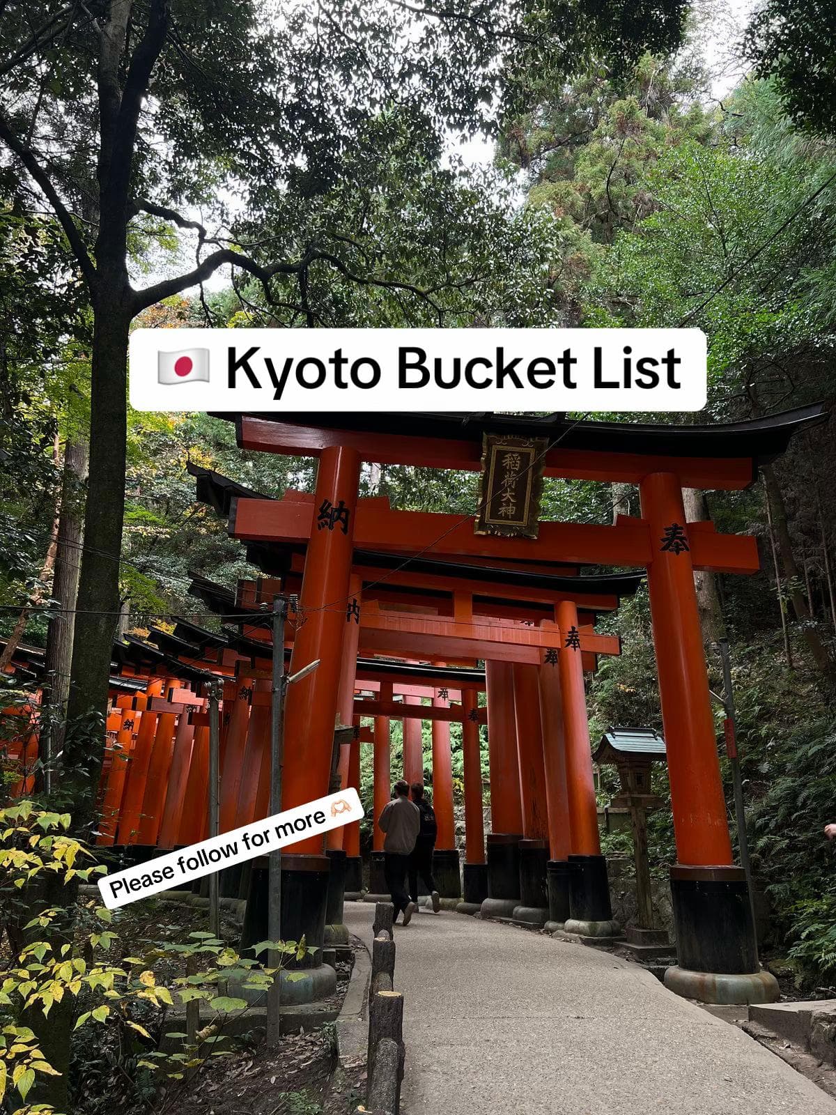 Kyoto's Enchanting Shrines, Temples, and Bridges